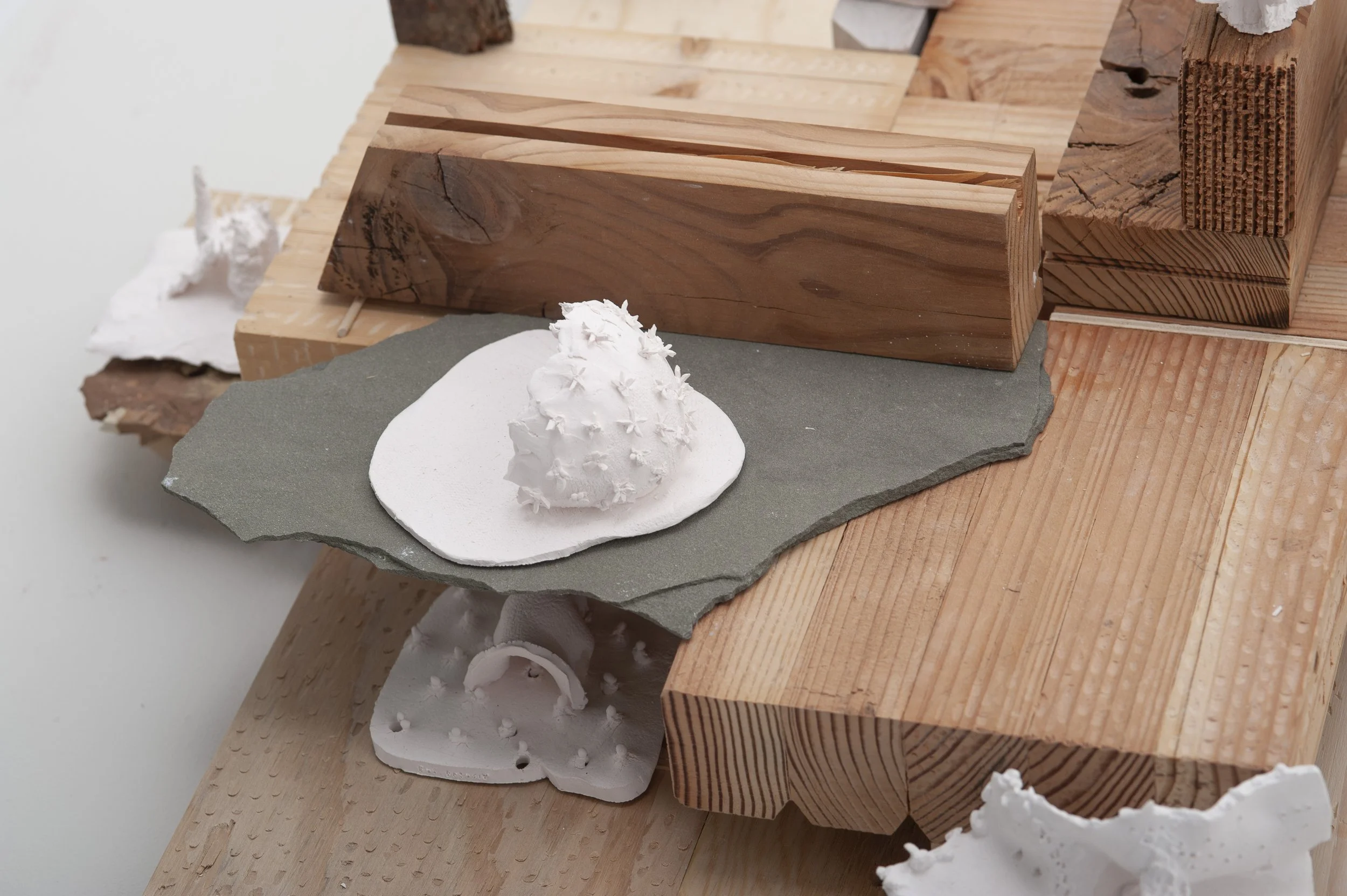 Gutierrez2022_image16 copy.jpg