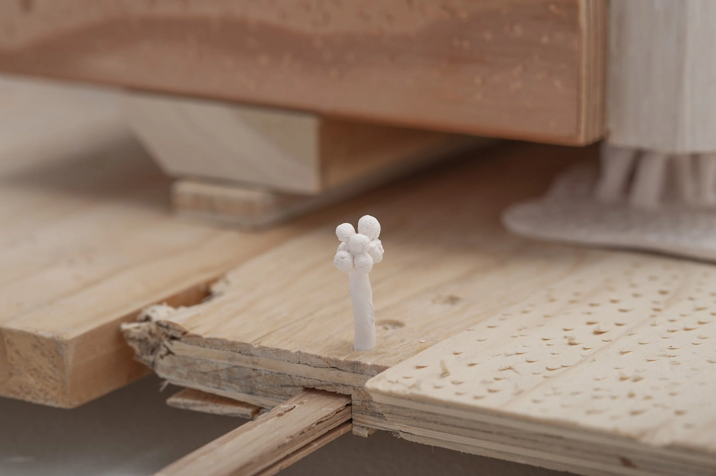 Gutierrez2022_image20 copy.jpg