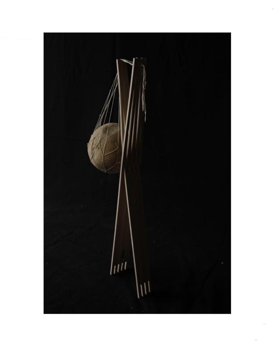 Cantaloup Hammock
Mechanism for Technics at Pratt Institute
Bass wood, string, cantaloup
2011