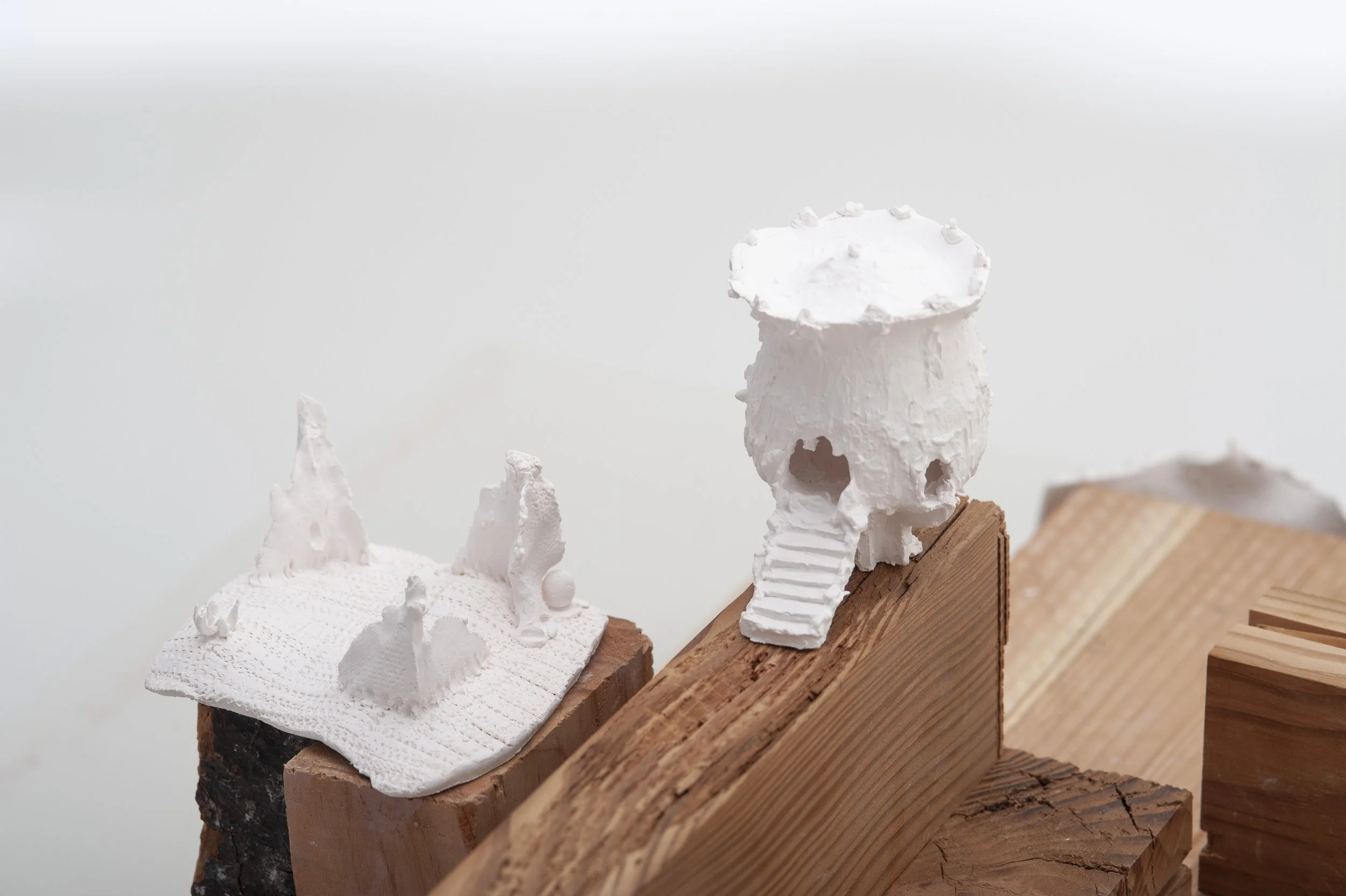 Gutierrez2022_image19 copy.jpg