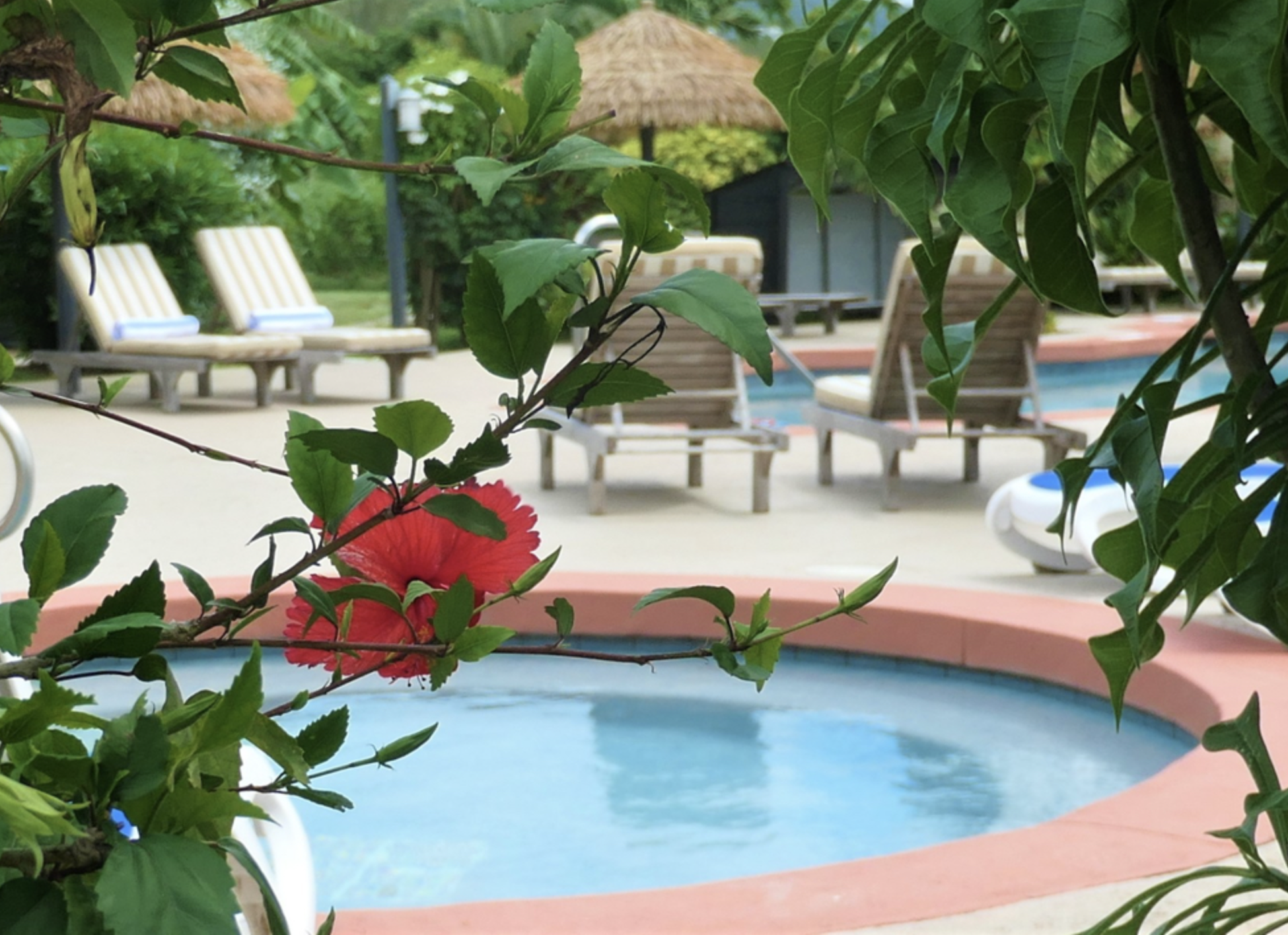 Screenshot 2026-03-04 at 4.38.08 PM.png