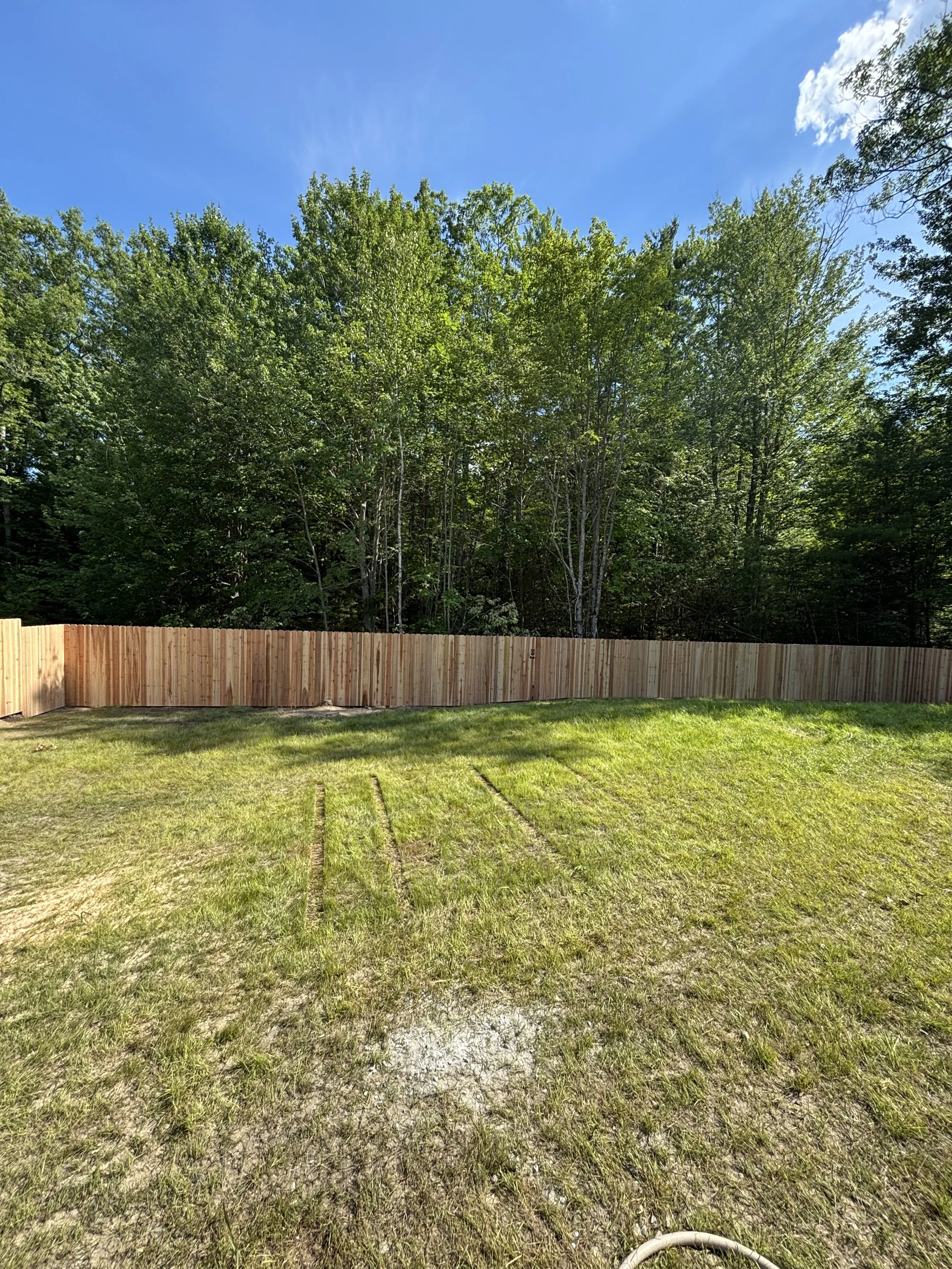 fence.jpg
