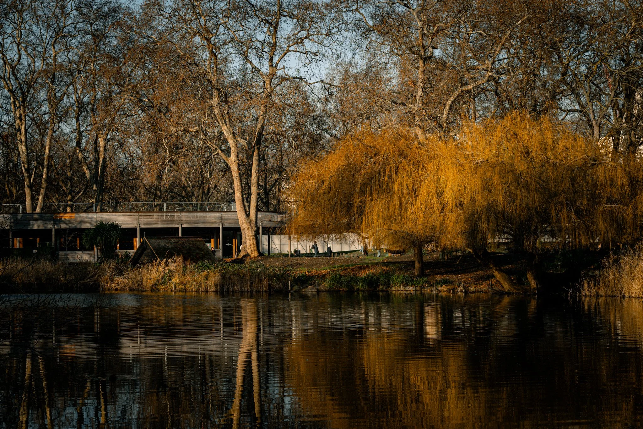 DSC_1387-2.jpg