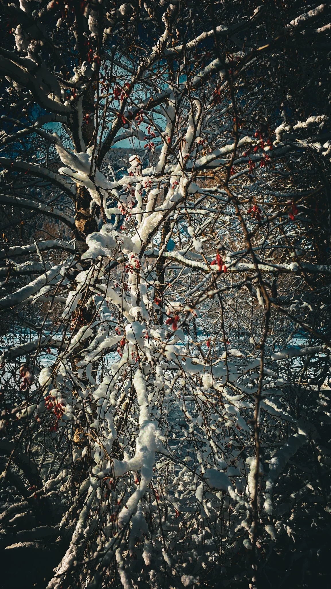 20260125_103020.jpg