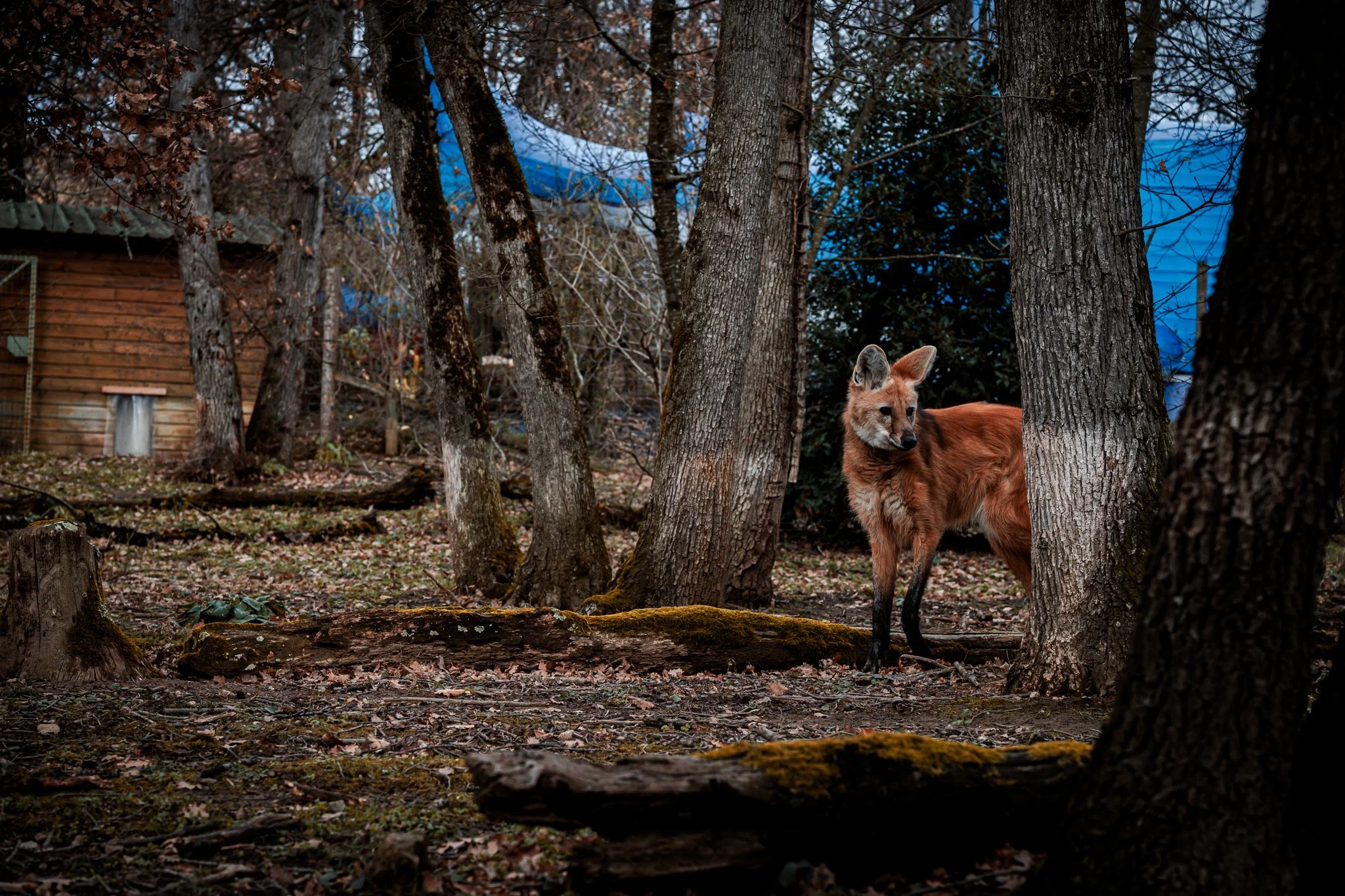 DSC_1684.jpg
