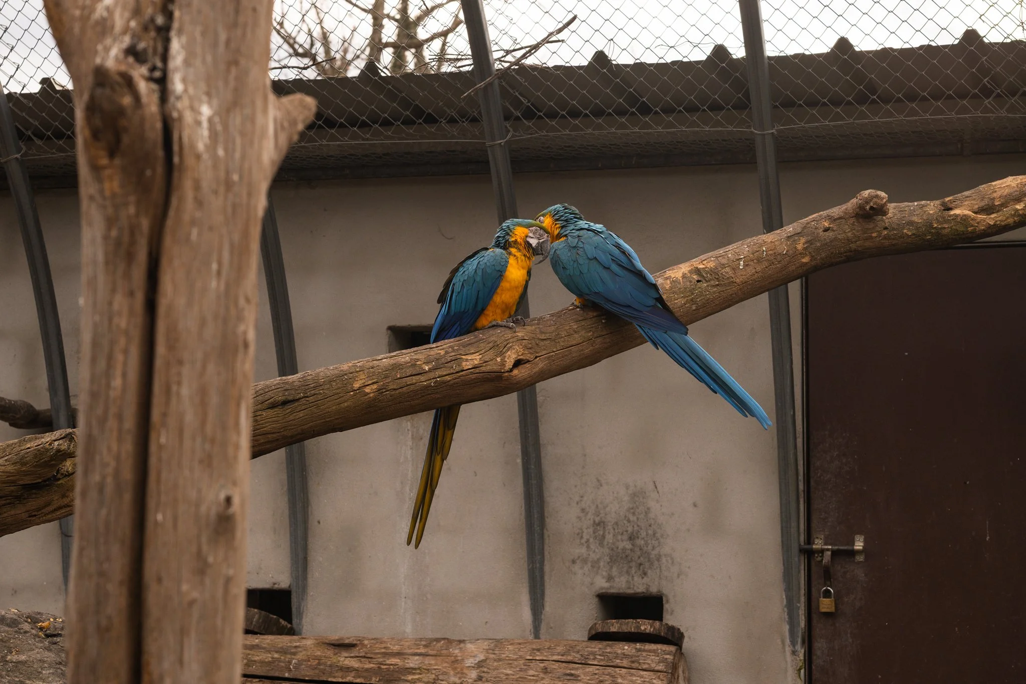 DSC_1711.jpg