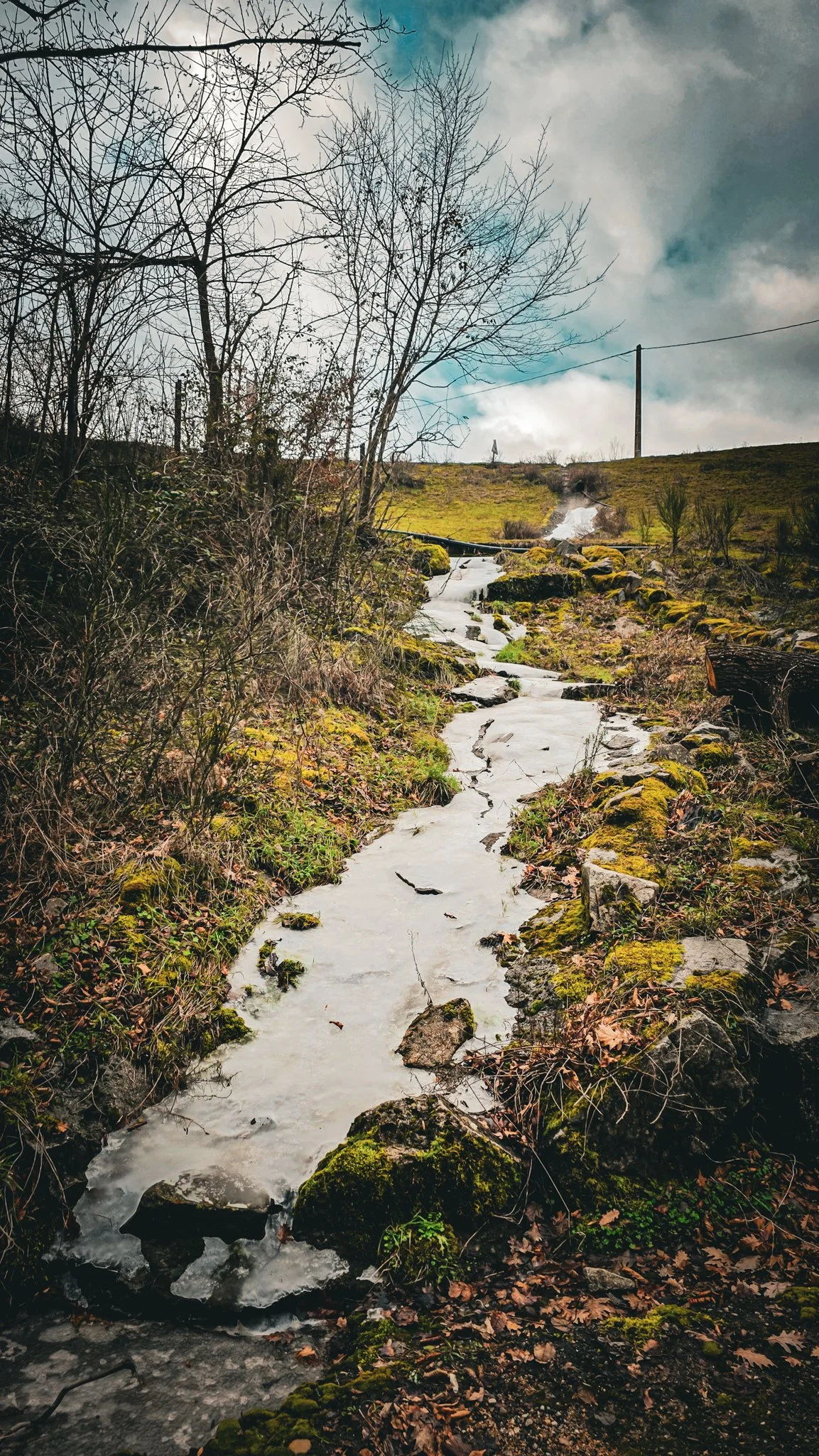 20260110_110534(0).jpg