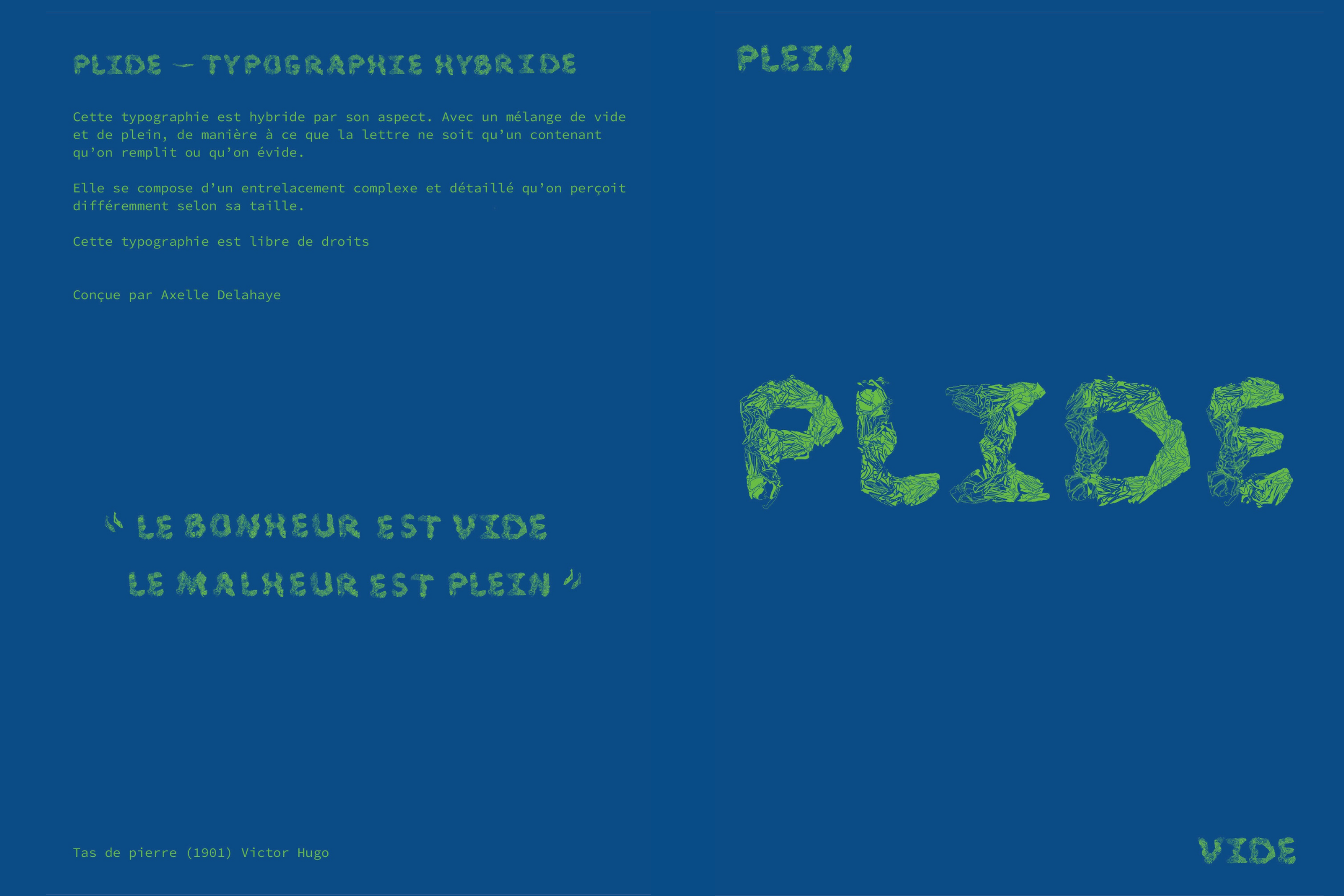 Découvrez Plide par L'Atelier d'Ax : création d'une typographie sur-mesure par assemblage de bois, aluminium et végétal, déclinée en affiches.