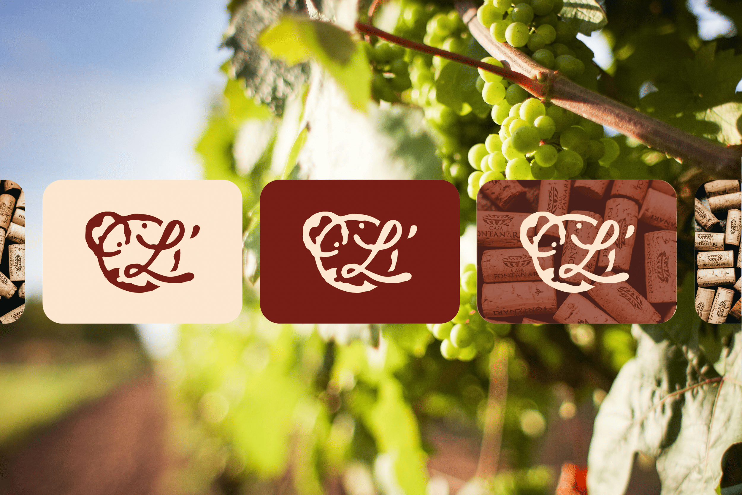 L-Accord-des-Vins_support-de-com_photographie_Direction-artistique_Spatial-&-environmental_2026.png