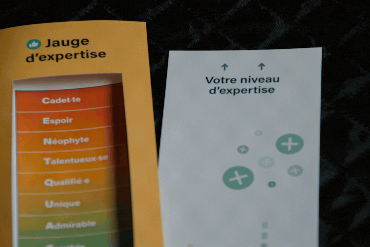 Atout-Age_support-de-com_Direction-artistique_Content-creation_2026.gif