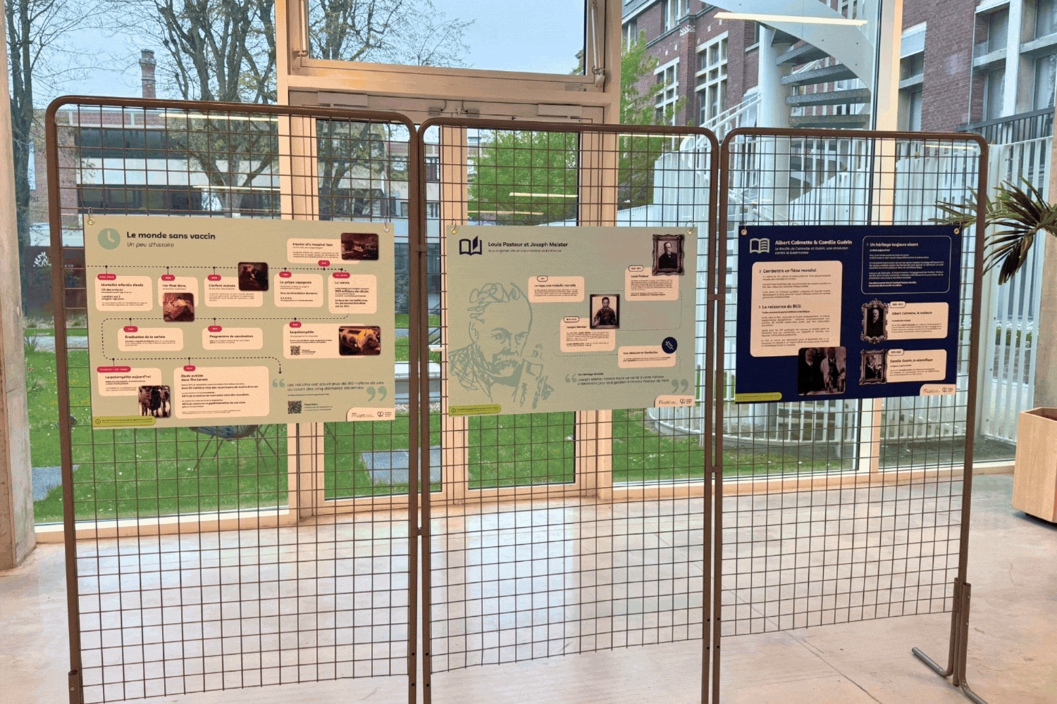 Institut-Pasteur-de-Lille_support-de-com_Direction-artistique_Retail-&-print_2026.gif