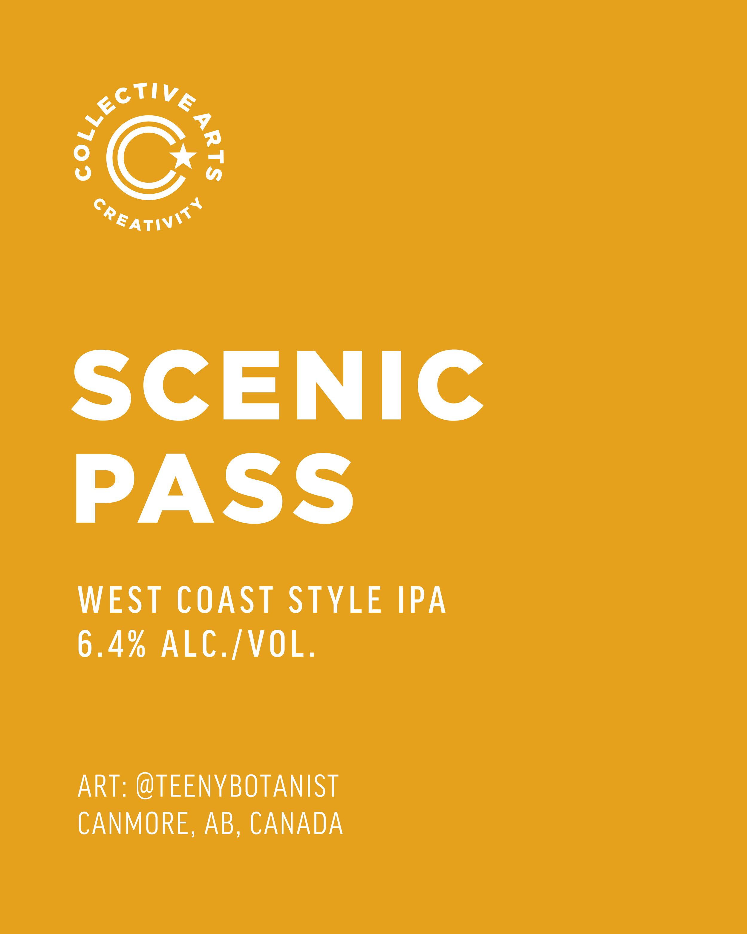 Scenic Pass IPA from Collective Arts Brewing