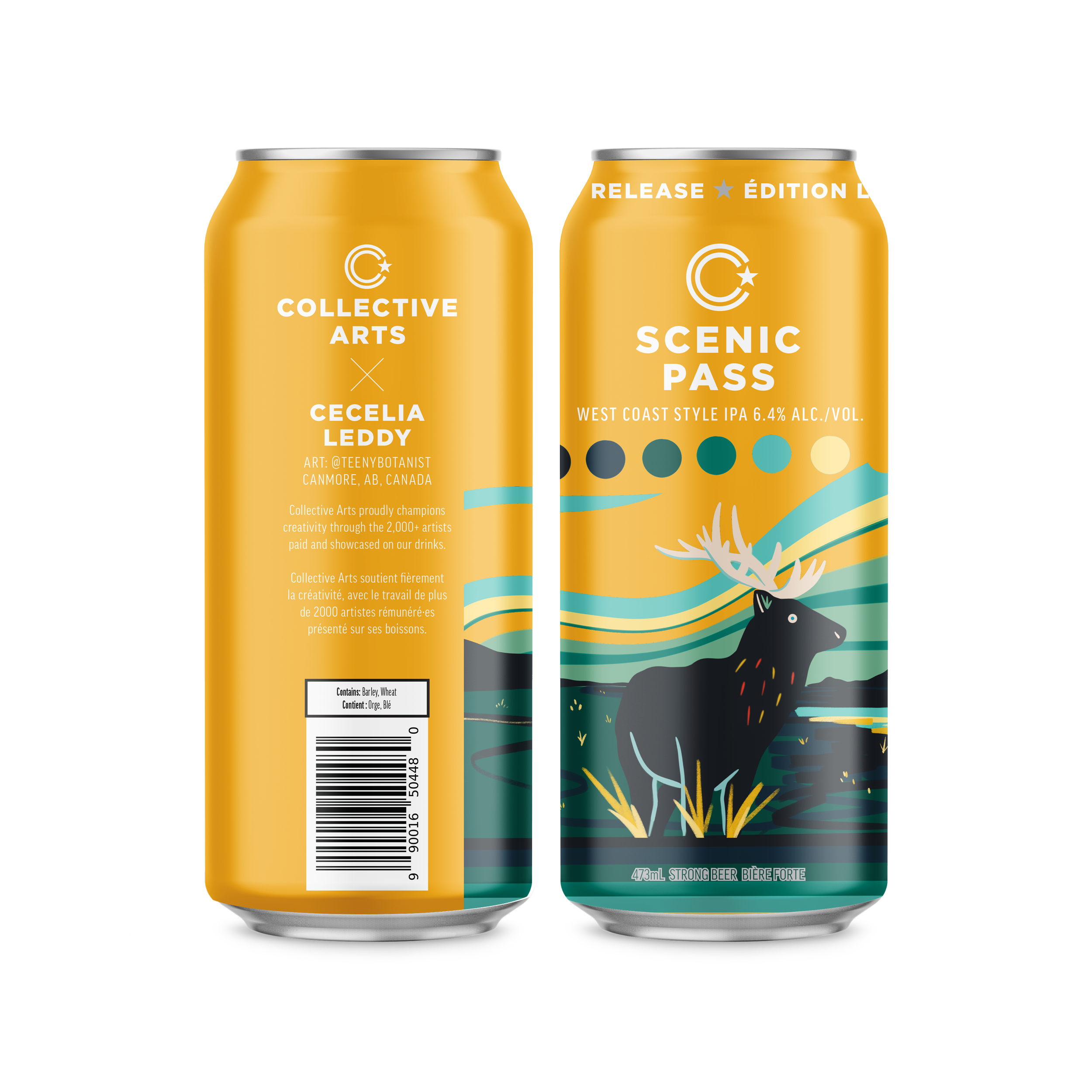 Two Scenic Pass IPA cans, front and back