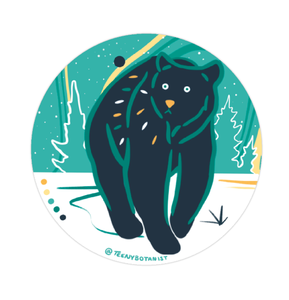 Bear sticker by Teenybotanist, close-up of the design