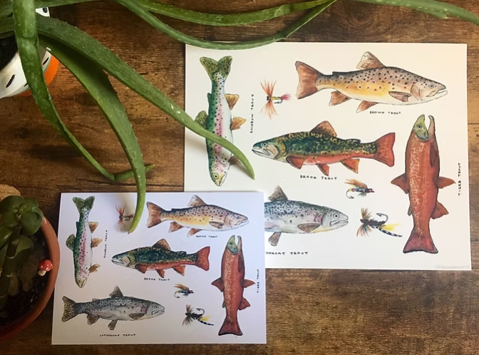 Alberta trout notecard by Teenybotanist