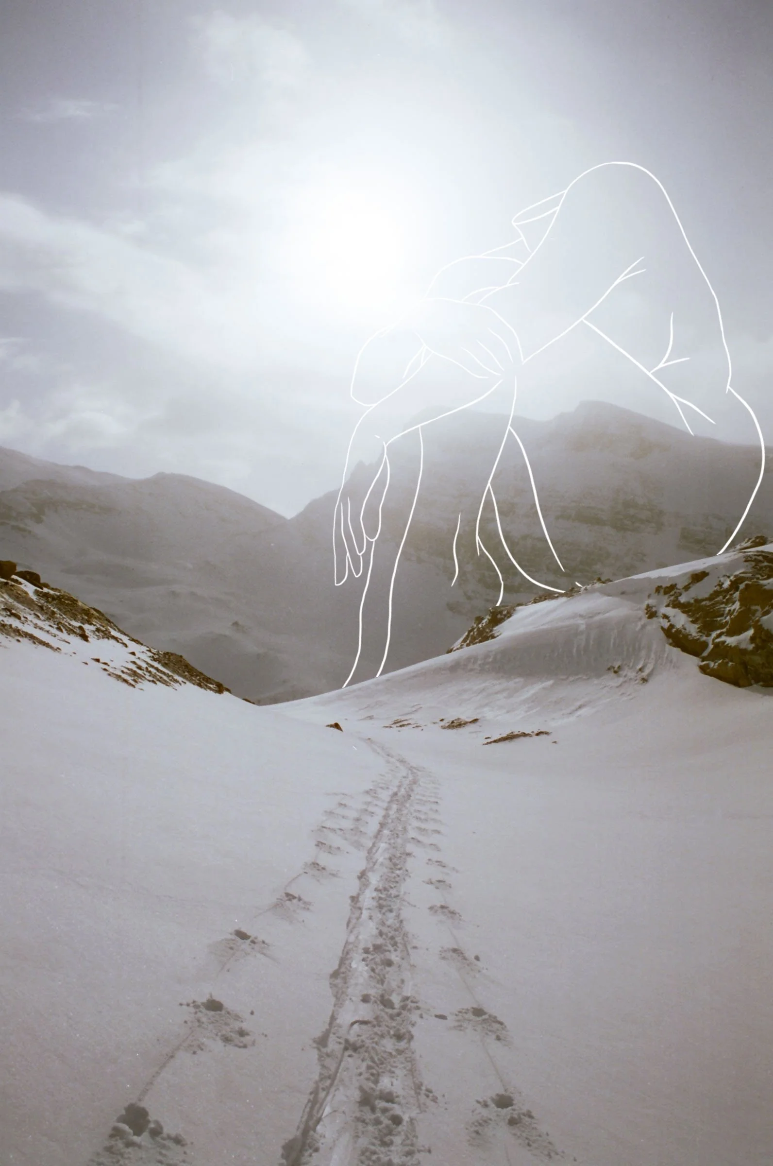 2_LeaveNoTrace_TeenybotanistMcKay (1).jpg