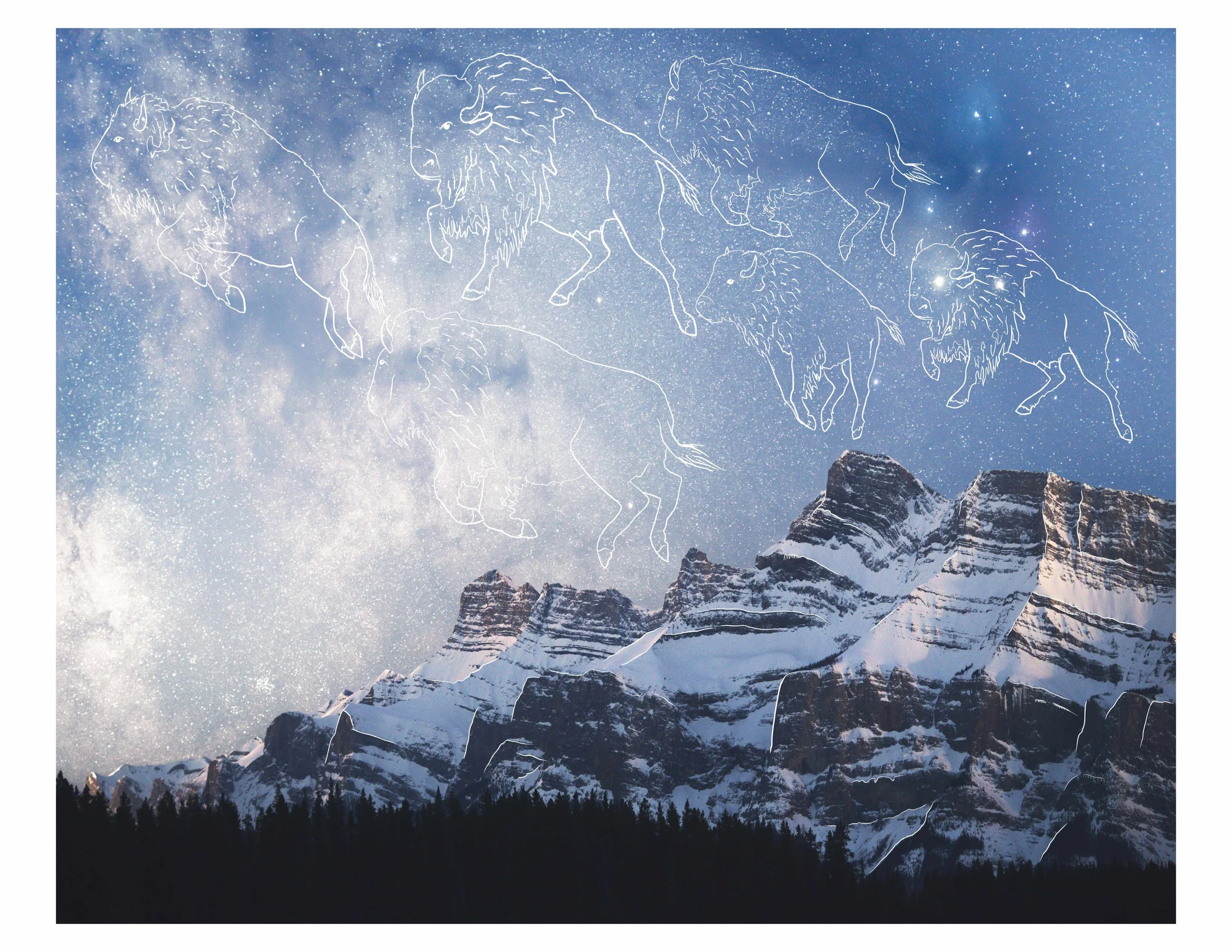 The Herd, from Constellations: illustrated animals in the night sky over the Rockies