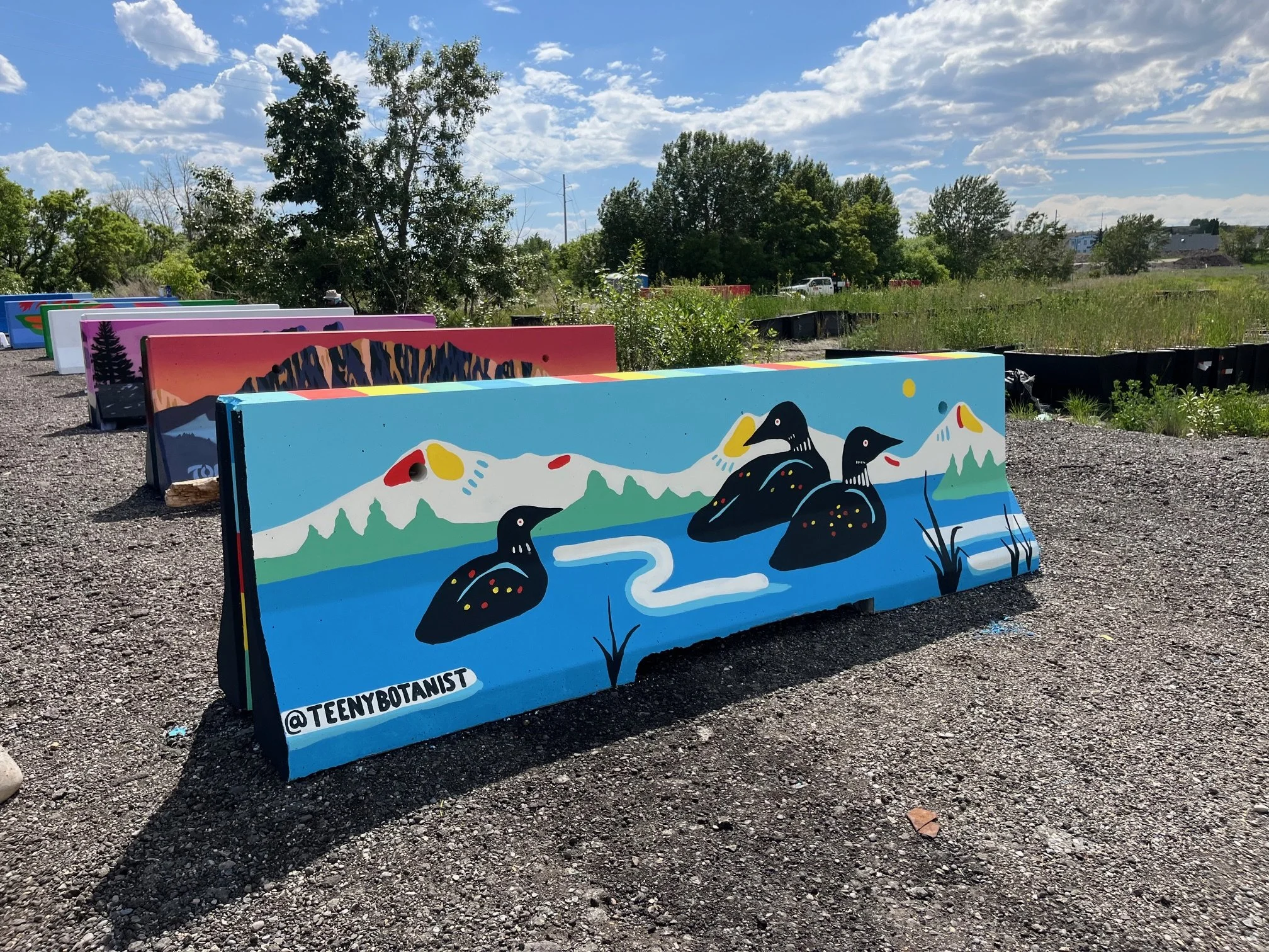 Row of jersey barriers painted with wildlife, BUMP Road Works by Teenybotanist