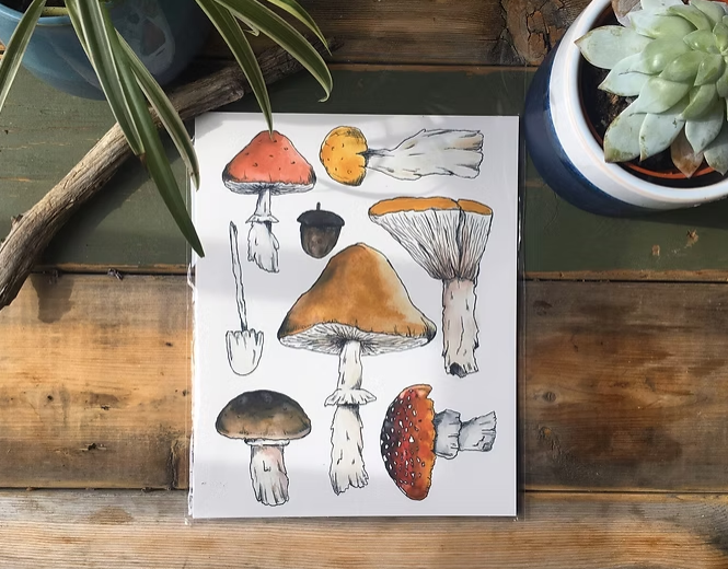 Wild Cards: Blank Notecards