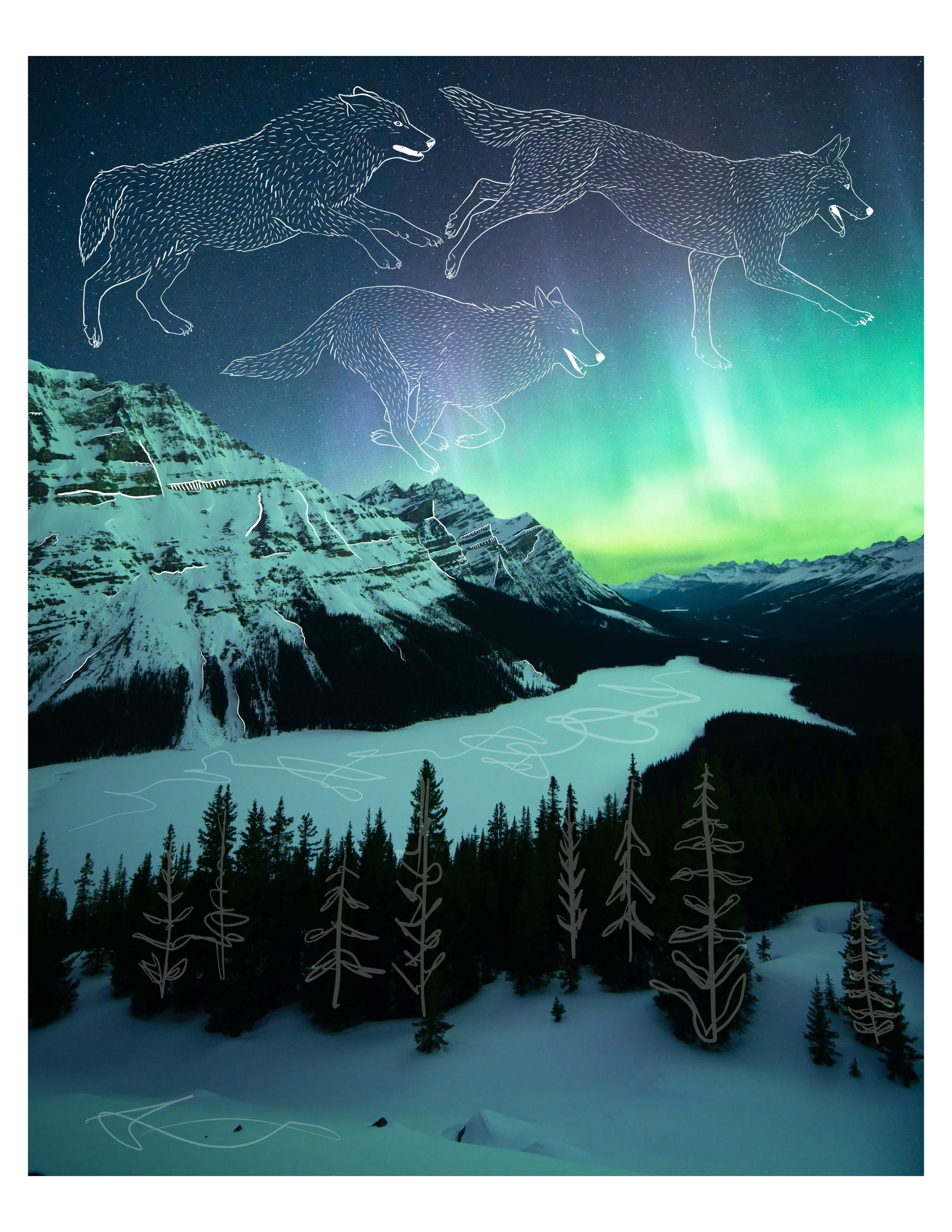Illustrated wolves above the northern lights, from Constellations