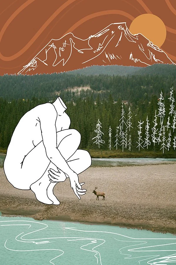 12_Wapiti_TeenybotanistMcKay.jpg.jpg