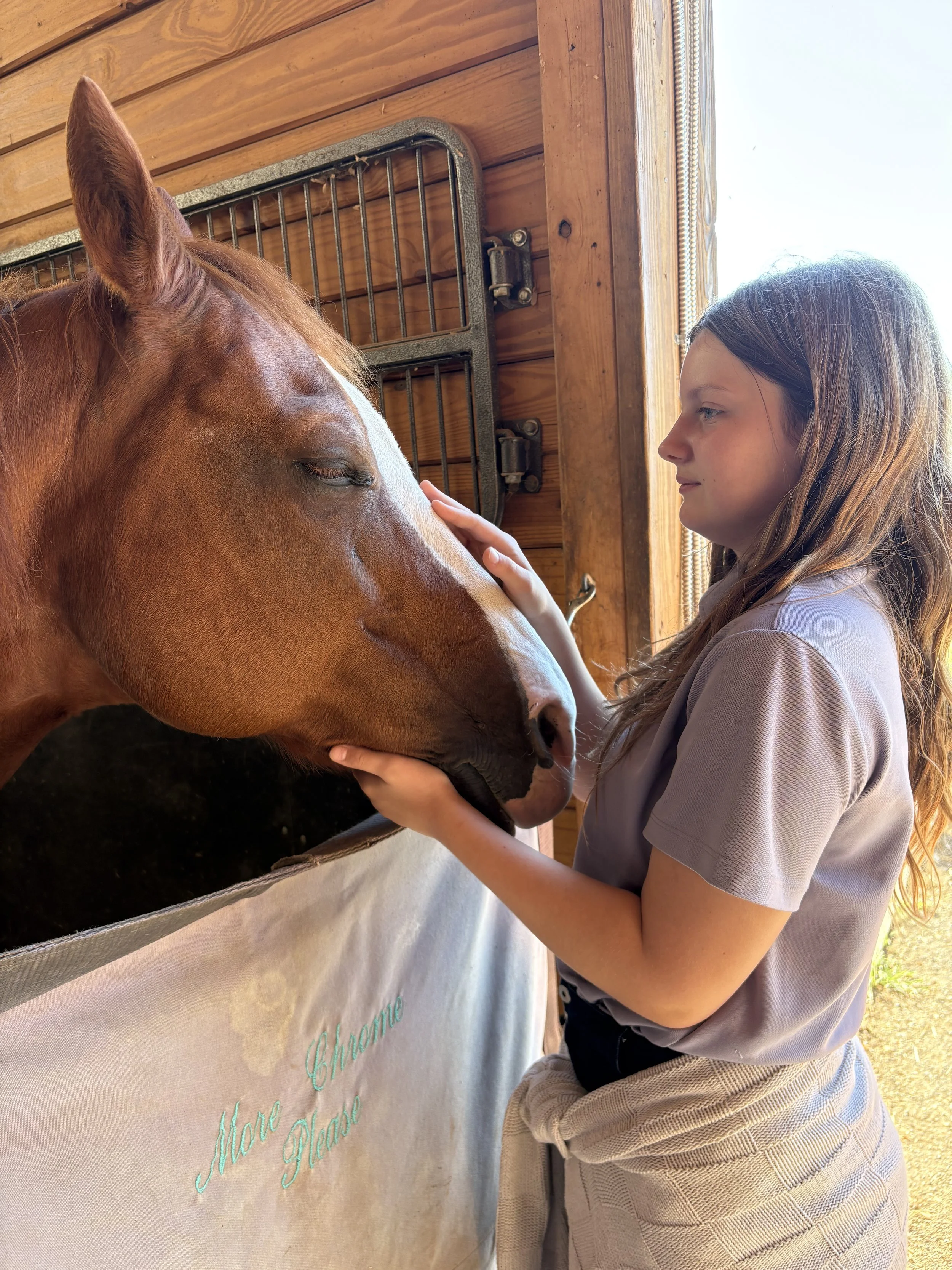 A girl gently touching a brown and white horse inside a wooden stable.