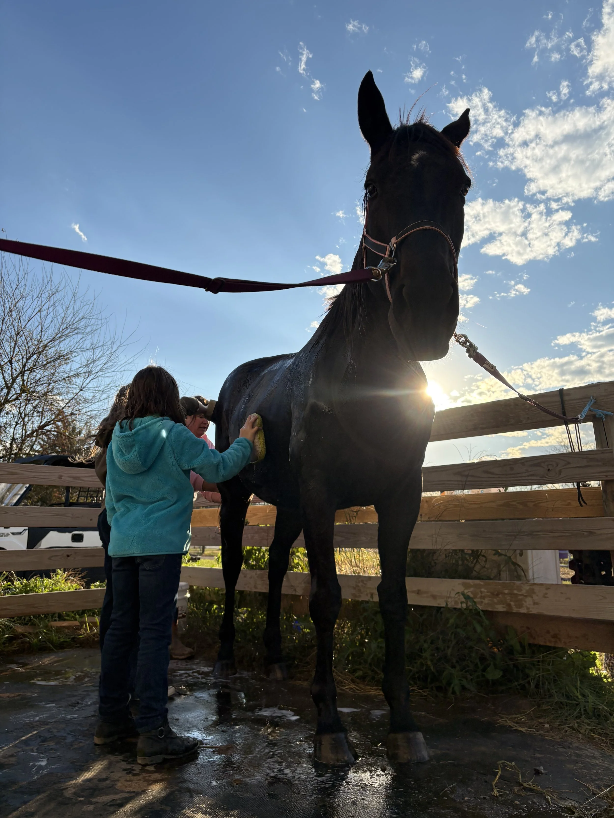 equestrian club 4.jpg