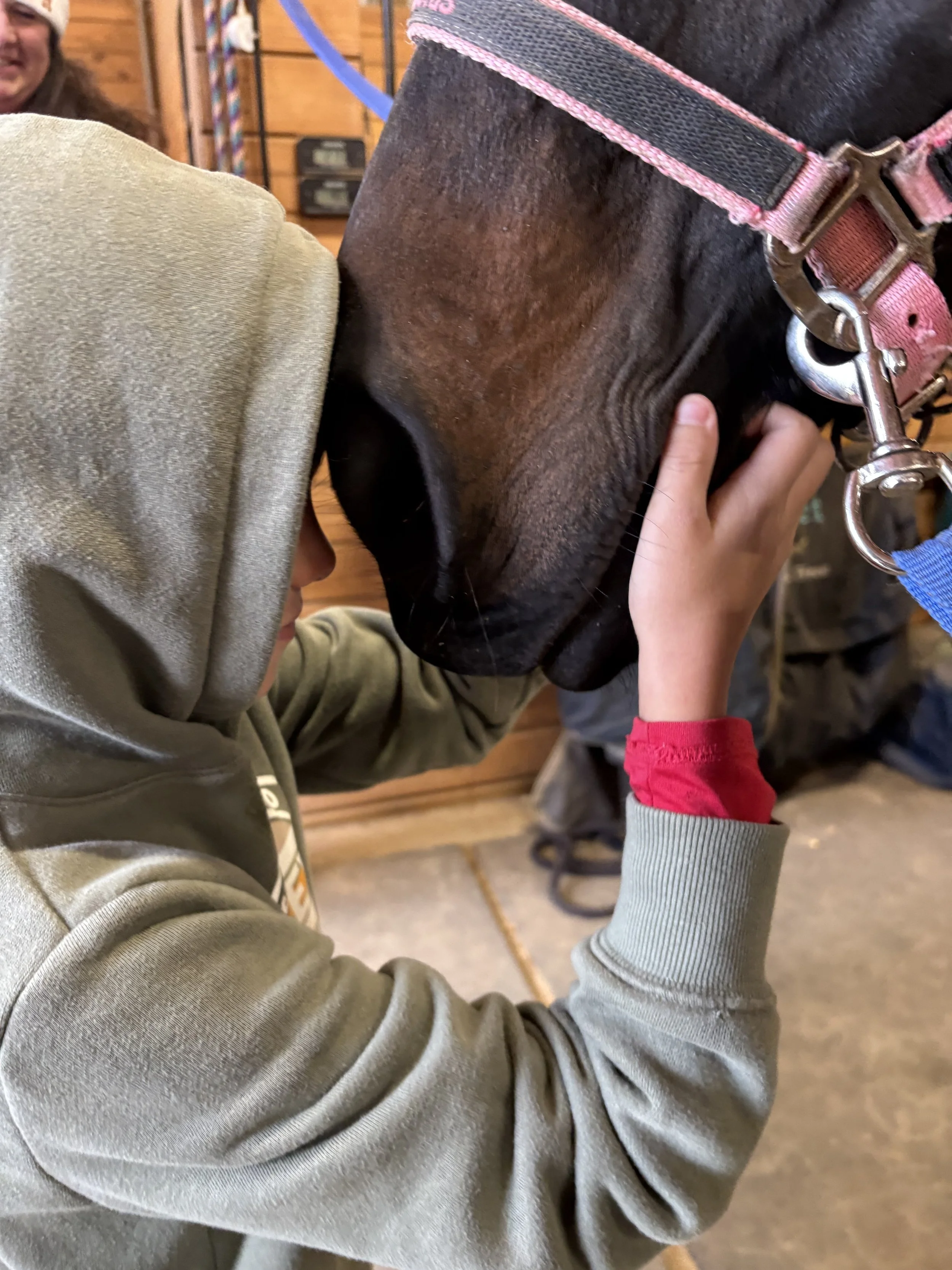 equestrian club 5.jpg