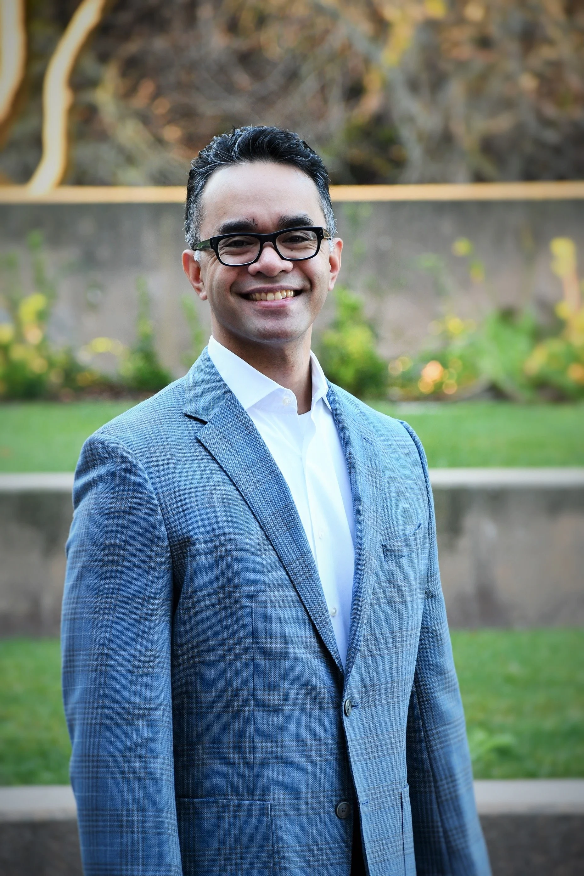 david luis profile picture