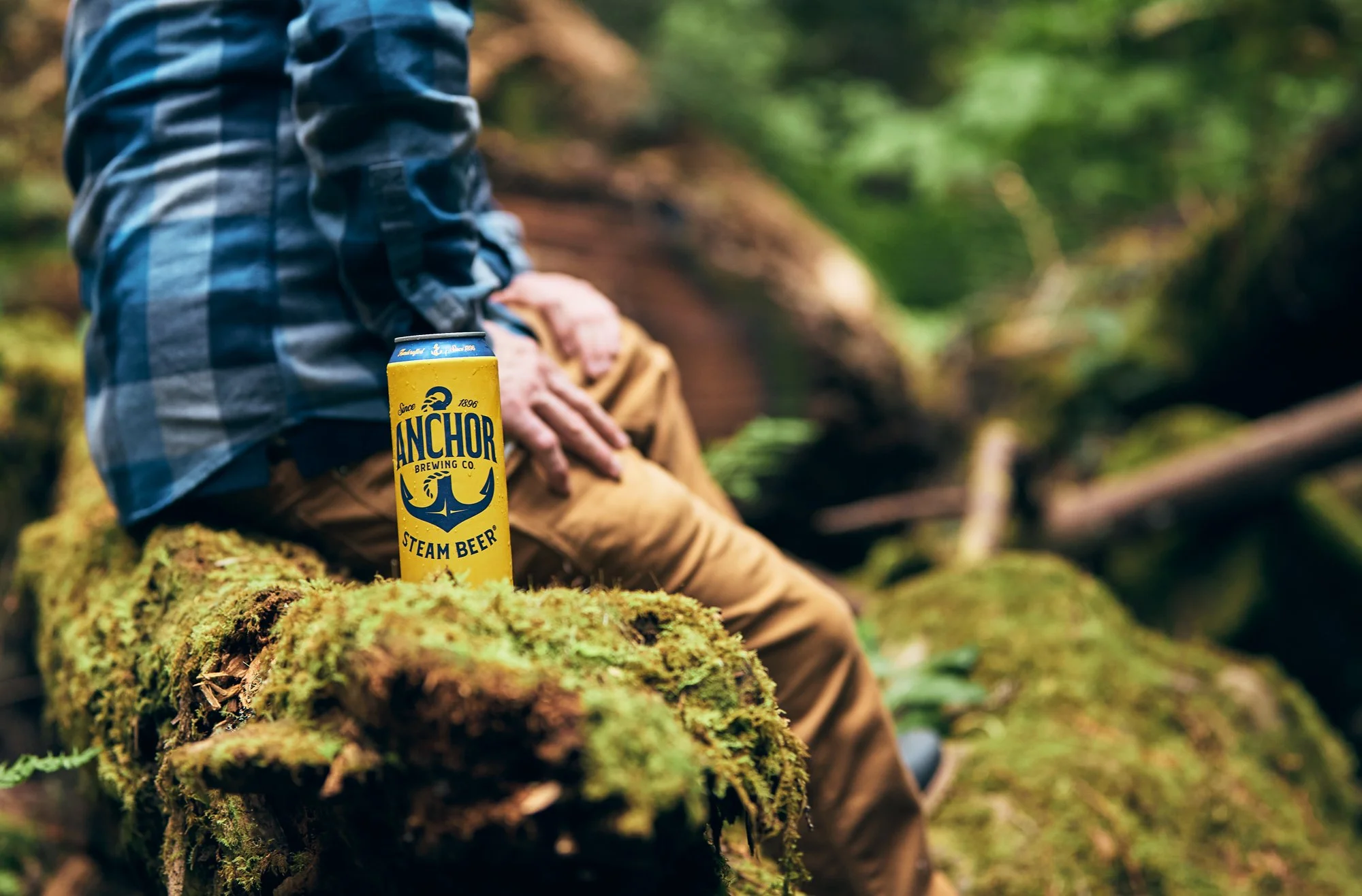 Person sitting on a moss-covered log in a forest, holding a yellow can of Anchor Brewing Co. Steam Beer, with a blurred background of green foliage.