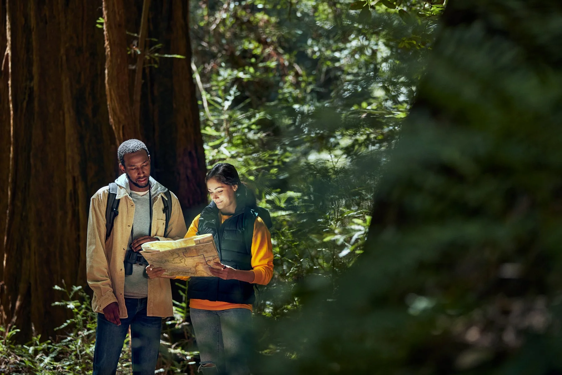 Two hikers, a man and a woman, standing in a forest, looking at a map. The man has gray hair and a beard, wearing a beige jacket and backpack. The woman has dark hair, wearing a yellow long-sleeve shirt and black vest. Tall trees and green foliage su