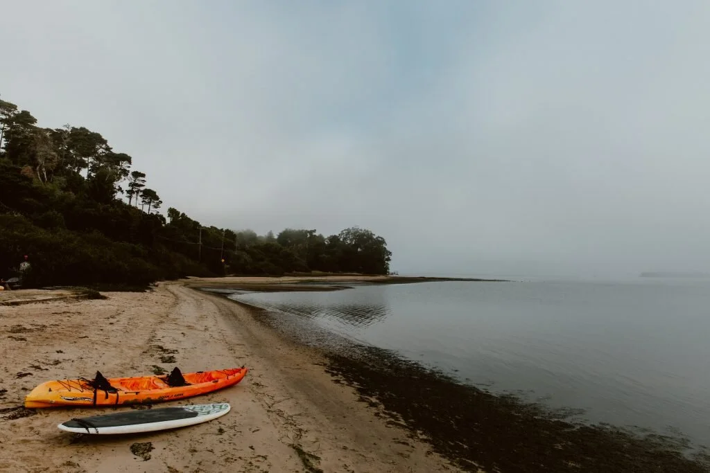 A sandy beach with two paddleboards, one orange and one white, resting on the shore near some scattered seaweed. The beach is bordered by trees and a misty, overcast sky.