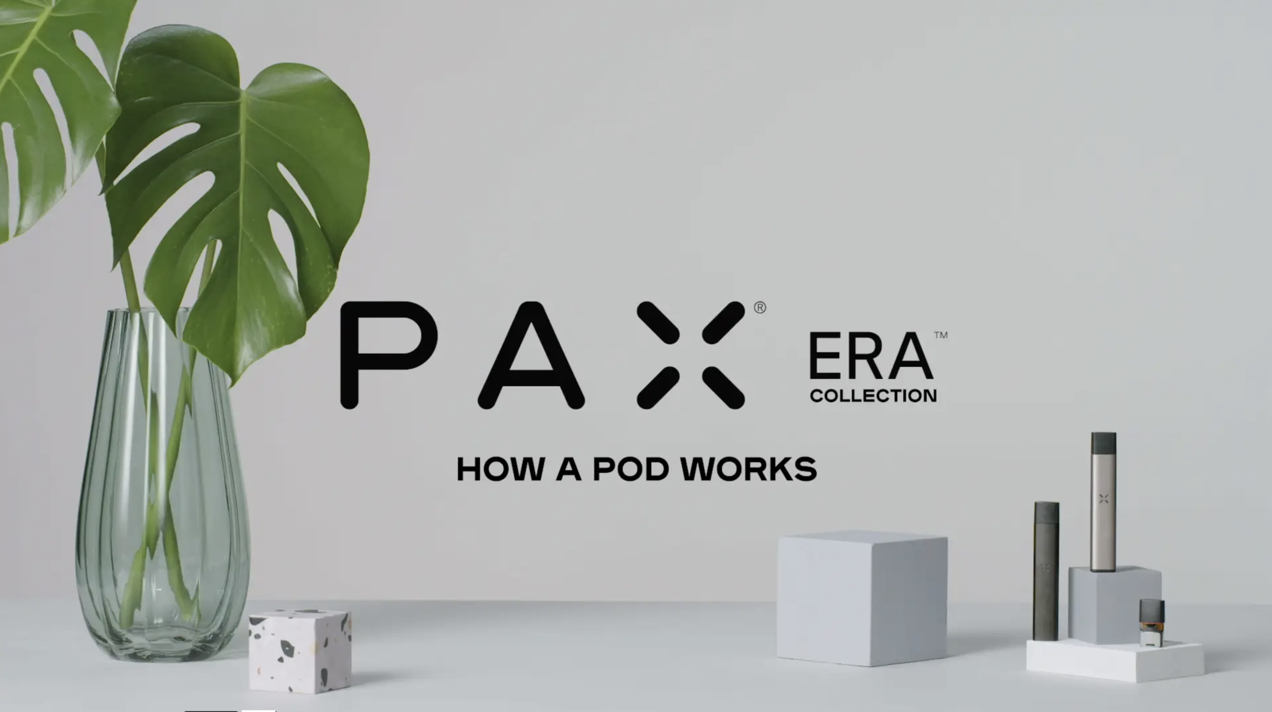 PAX | Produce Tutorial