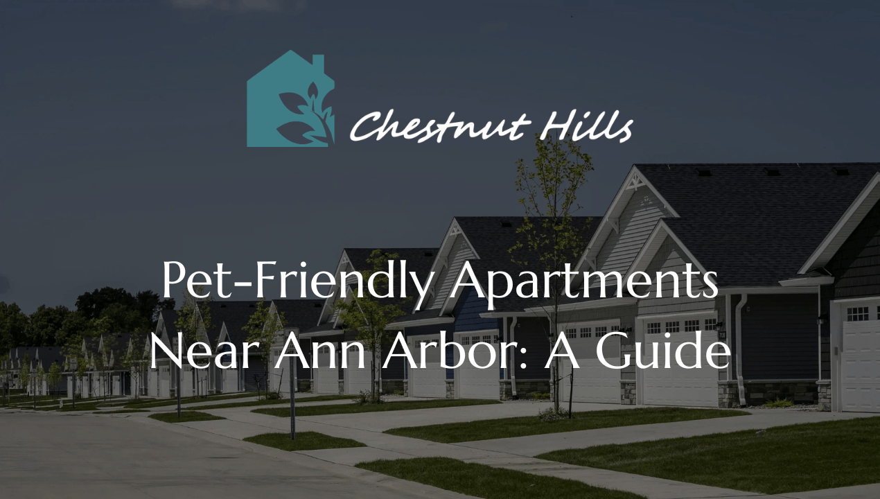 What Pet Owners Should Look for in an Apartment