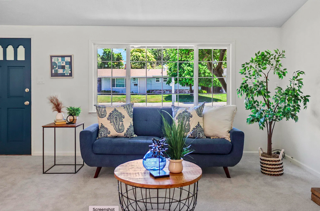 Living room with large window, blue sofa with patterned cushions, and a wooden round coffee table with a decorative plant and blue vase. A side table with plants and decor, a large potted plant, and a white wall with a picture frame. Outside, greener
