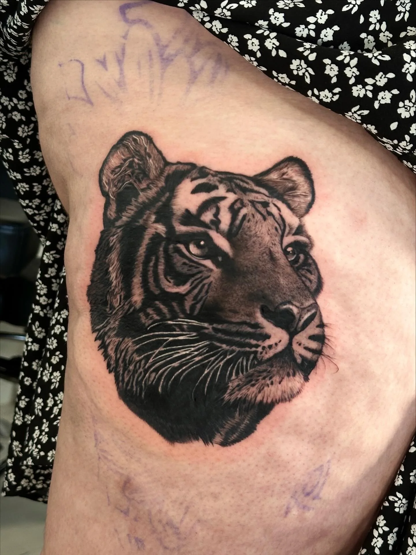 Detalle & Complejidad