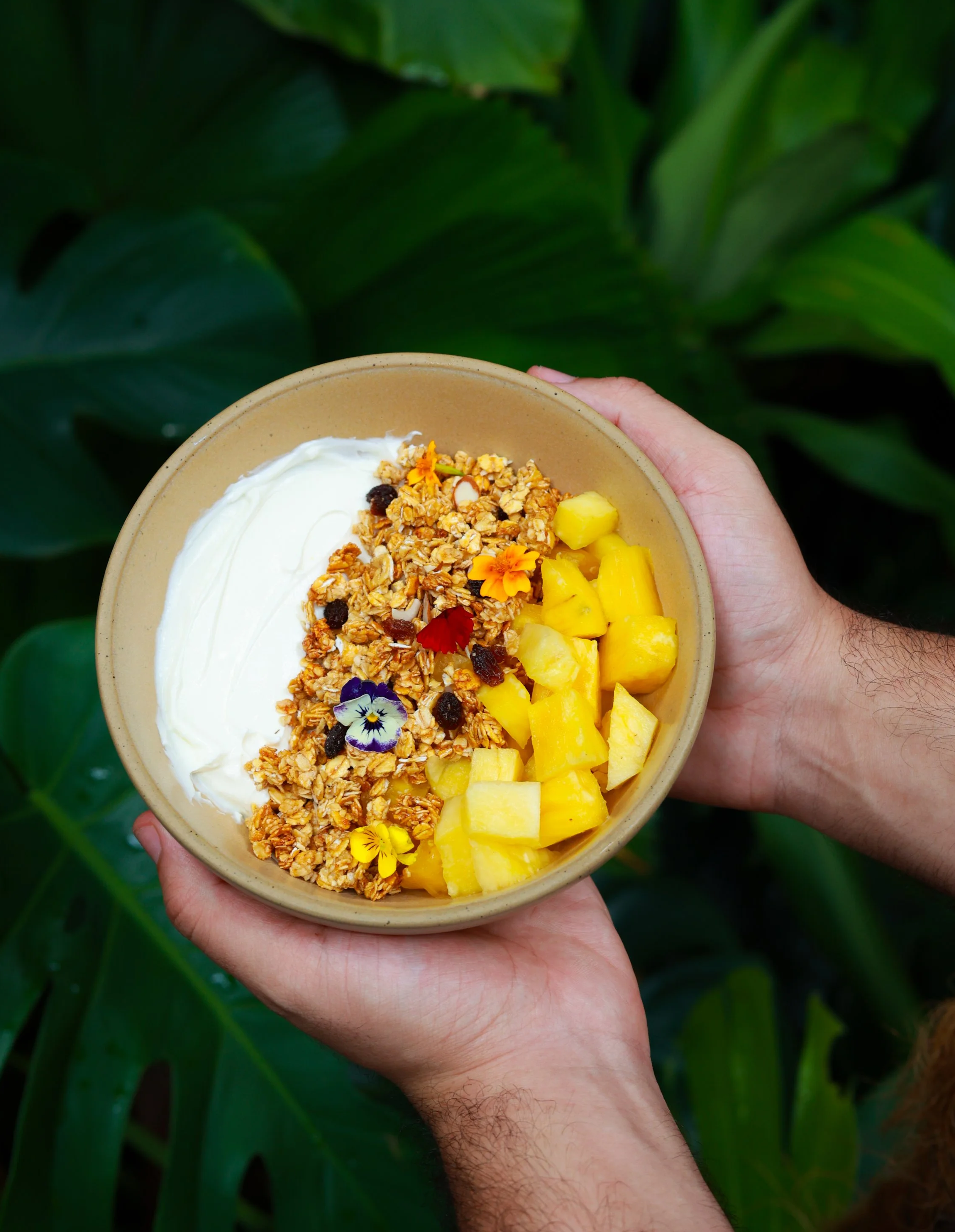 Tropical Breakfast in Casco Viejo: Snack Shack