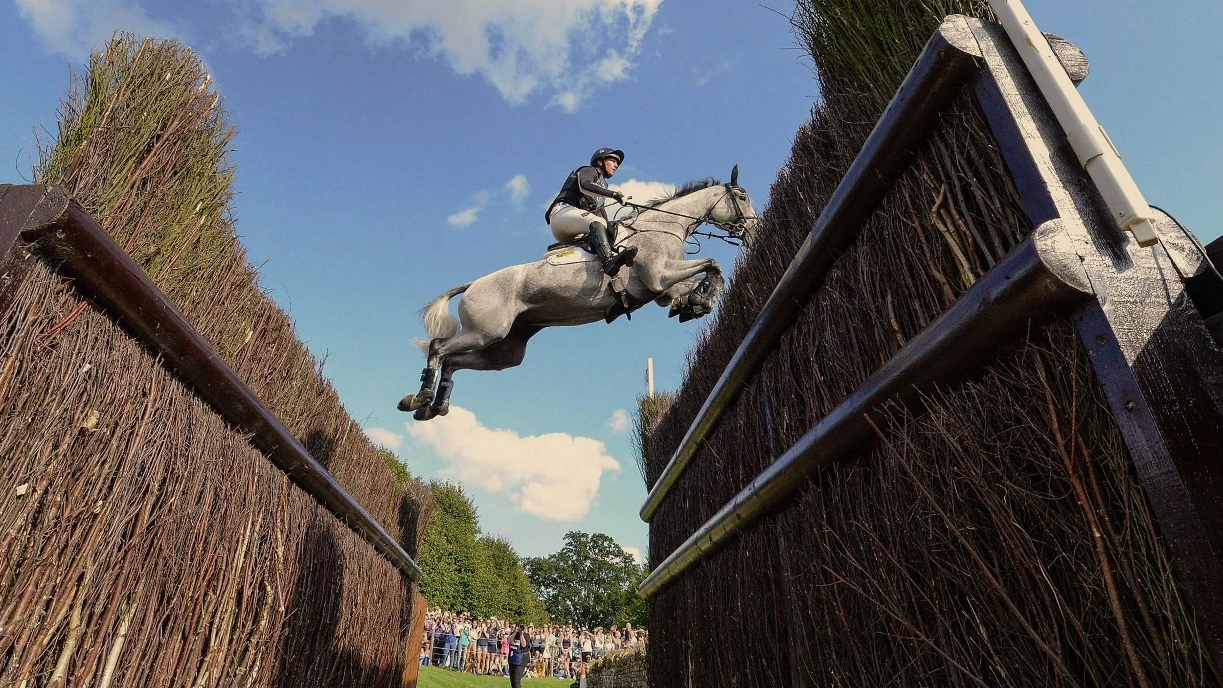A rider on a white horse is jumping over a hedge during an equestrian event in an outdoor setting, with spectators watching in the background and a blue sky above.