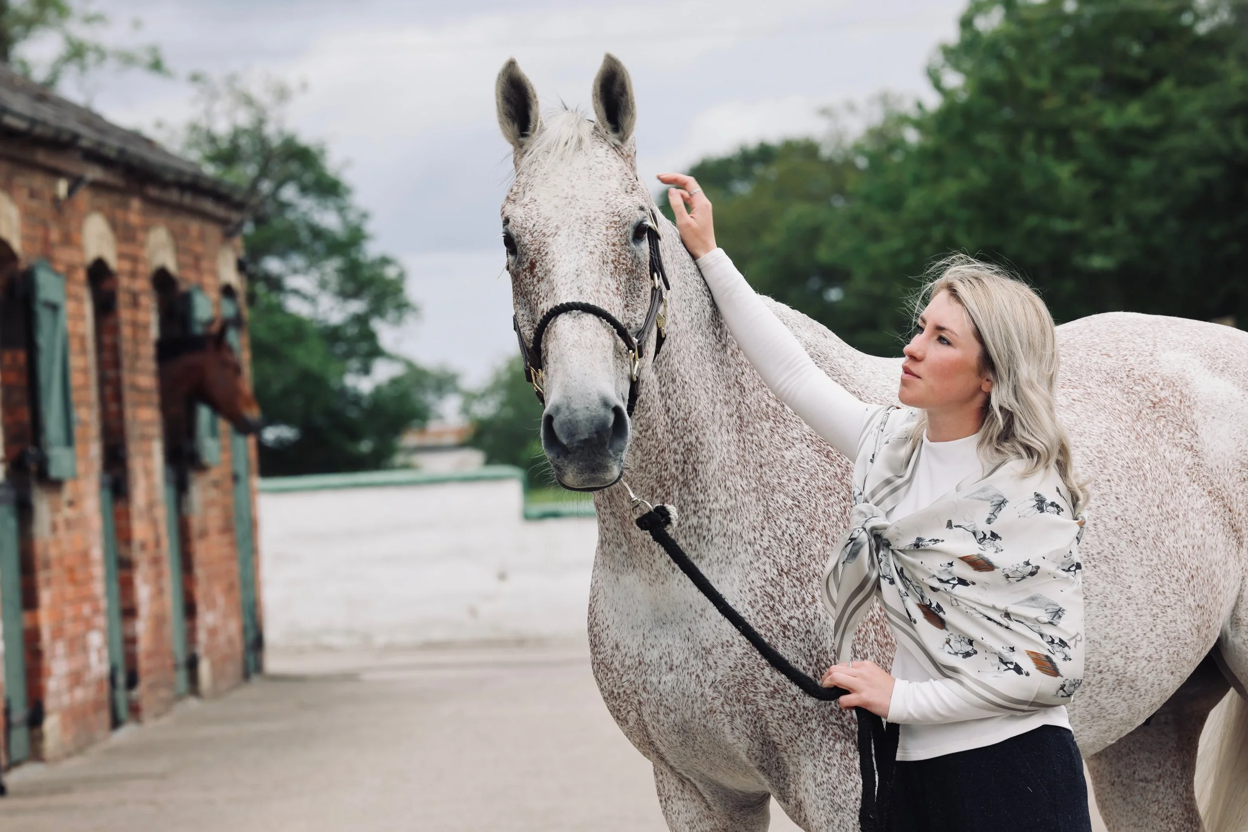 Townend Silk Scarf - Ballaghmor Class Edition