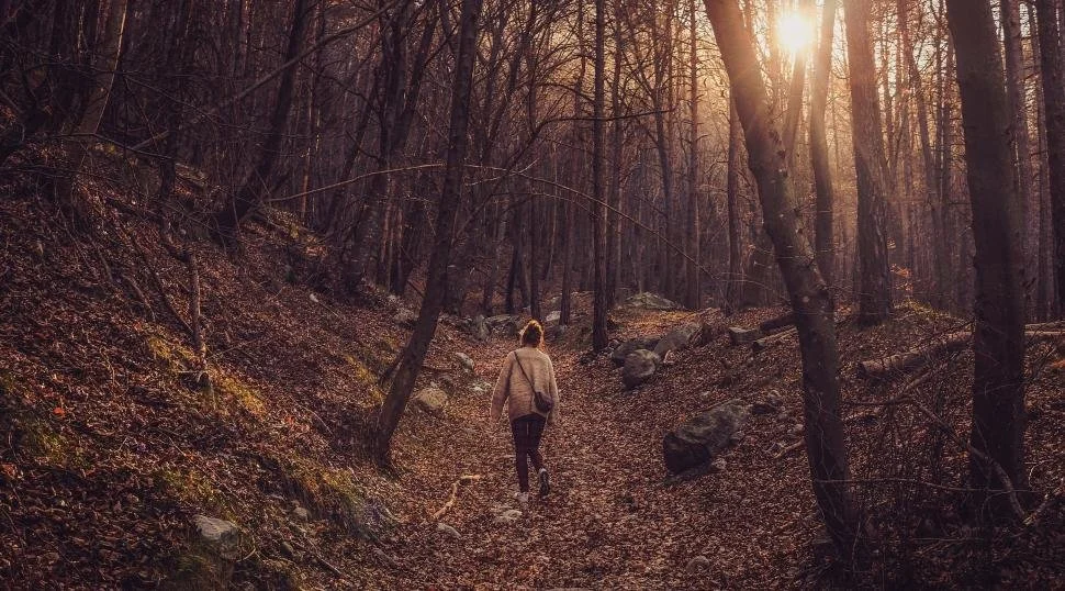 A person walking through a forest trail during sunset, surrounded by trees and rocks.