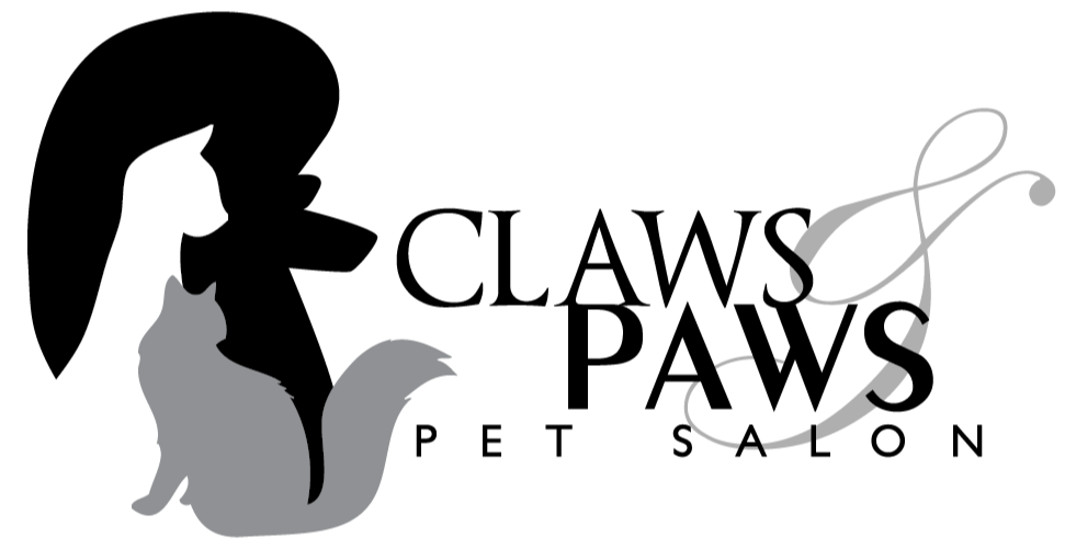 A partially visible woman with long hair sitting next to a gray cat.