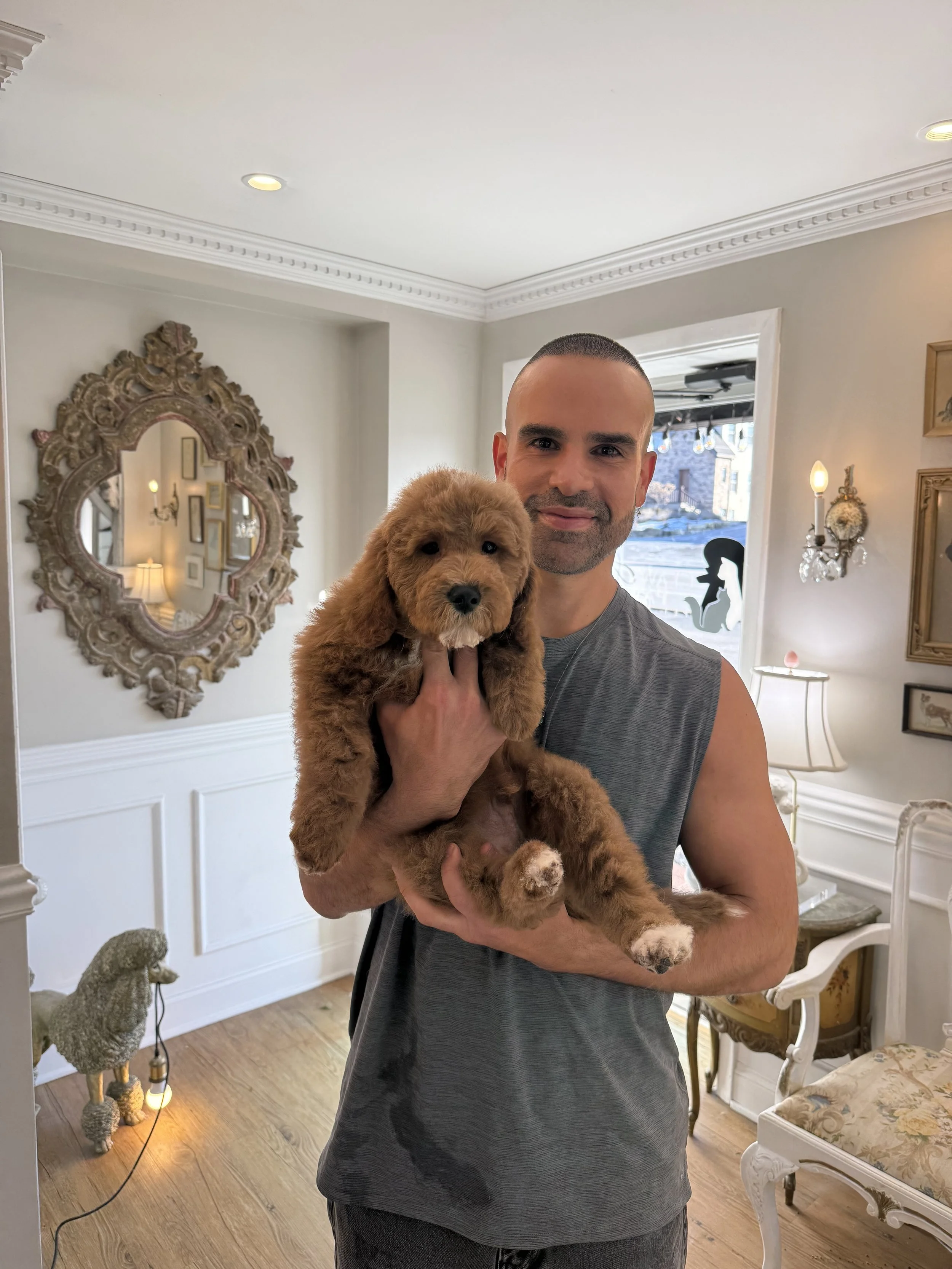 A man wearing a sleeveless gray shirt holding a fluffy brown puppy inside a well-decorated room.