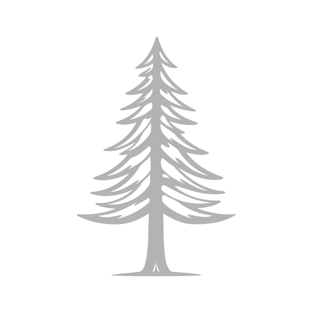 Gray silhouette of a pine tree with a black background.