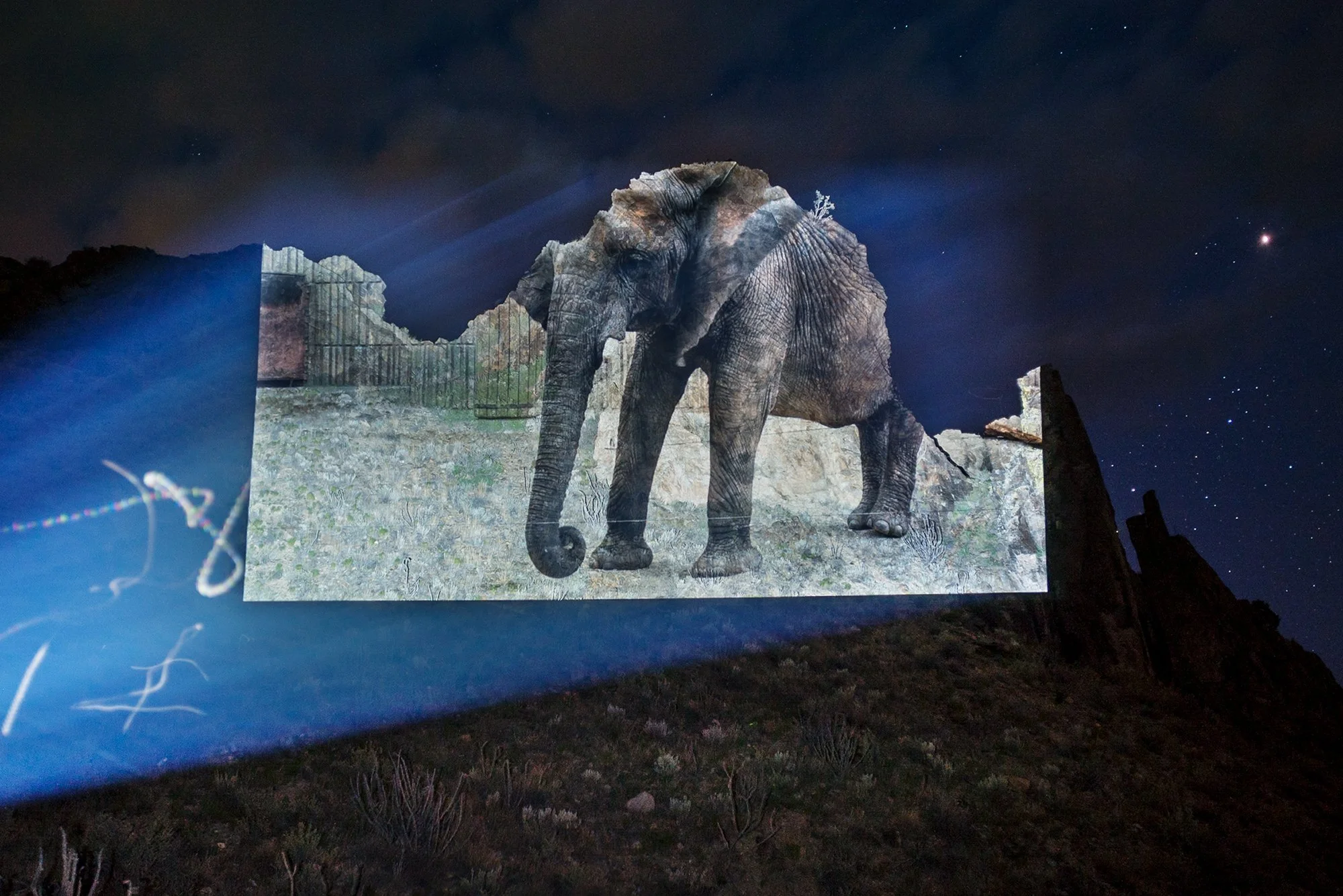 The Moving Image