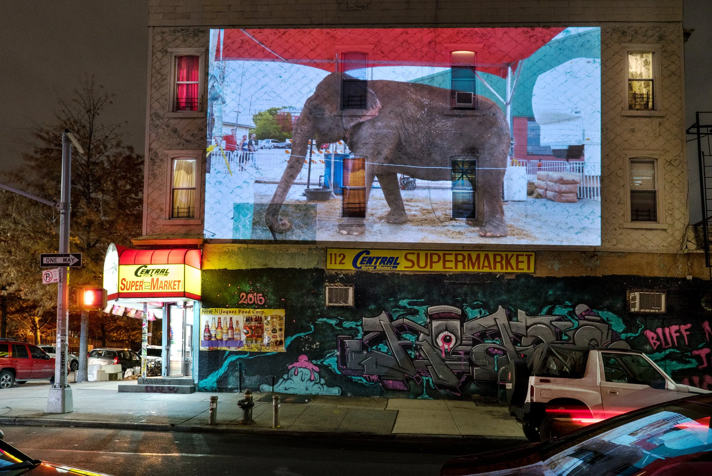 The Moving Image