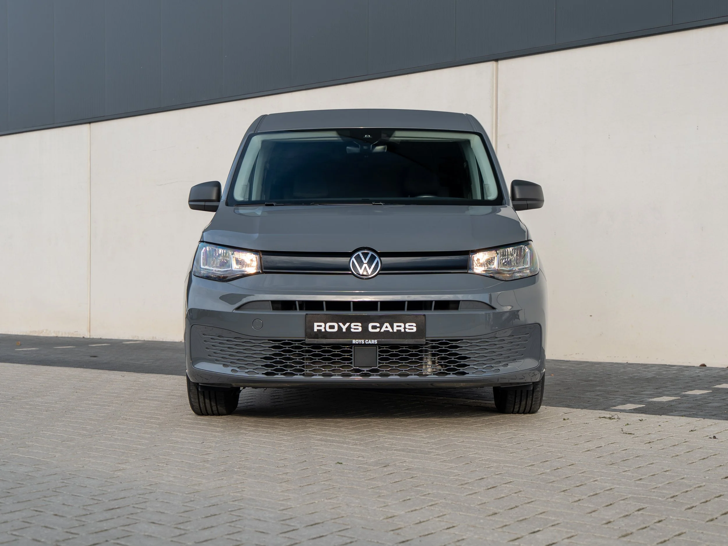 Roys - Caddy dolfijn grijs-10.jpg