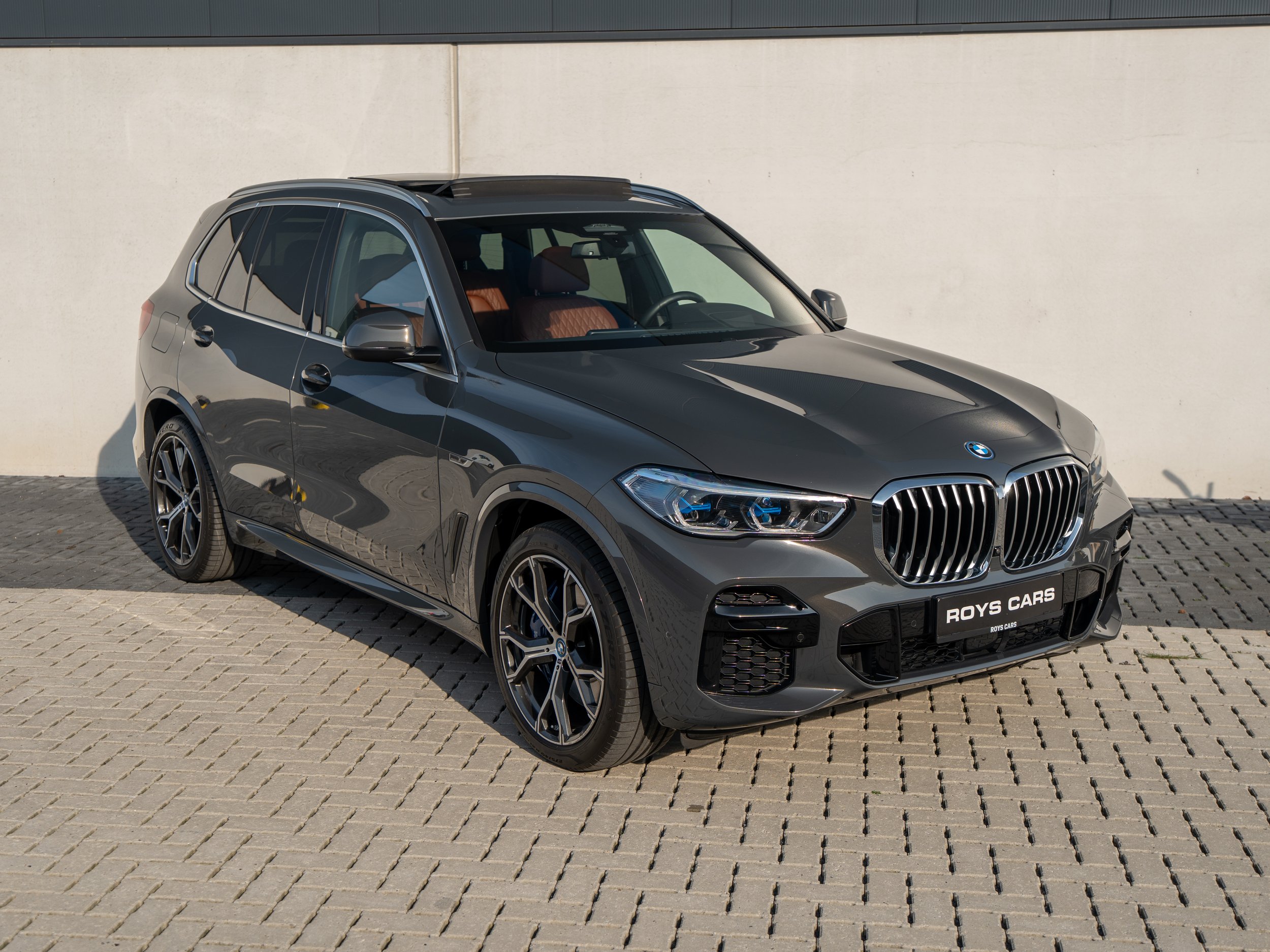 Grijze BMW X5 Series SUV