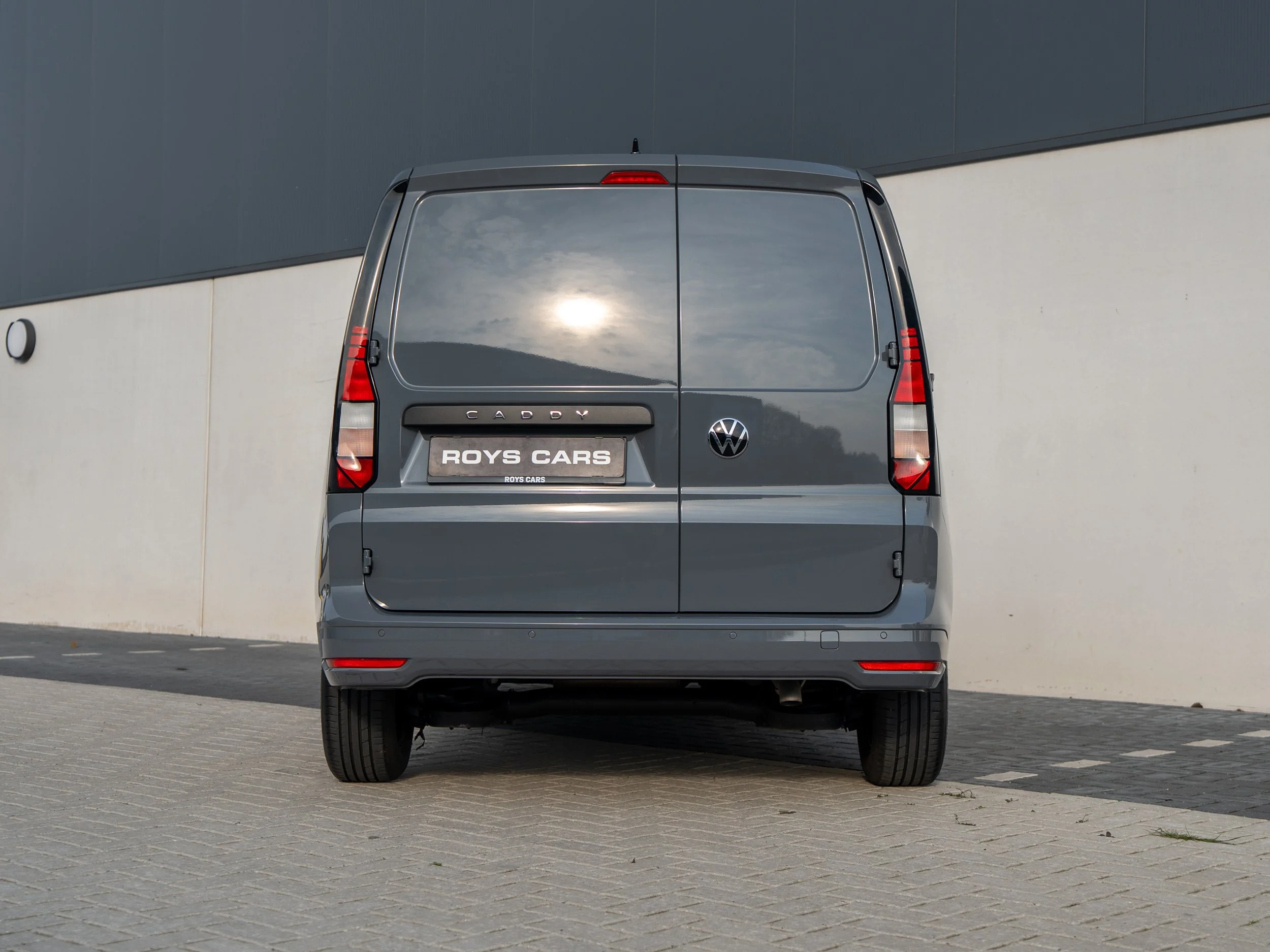 Roys - Caddy dolfijn grijs-22.jpg