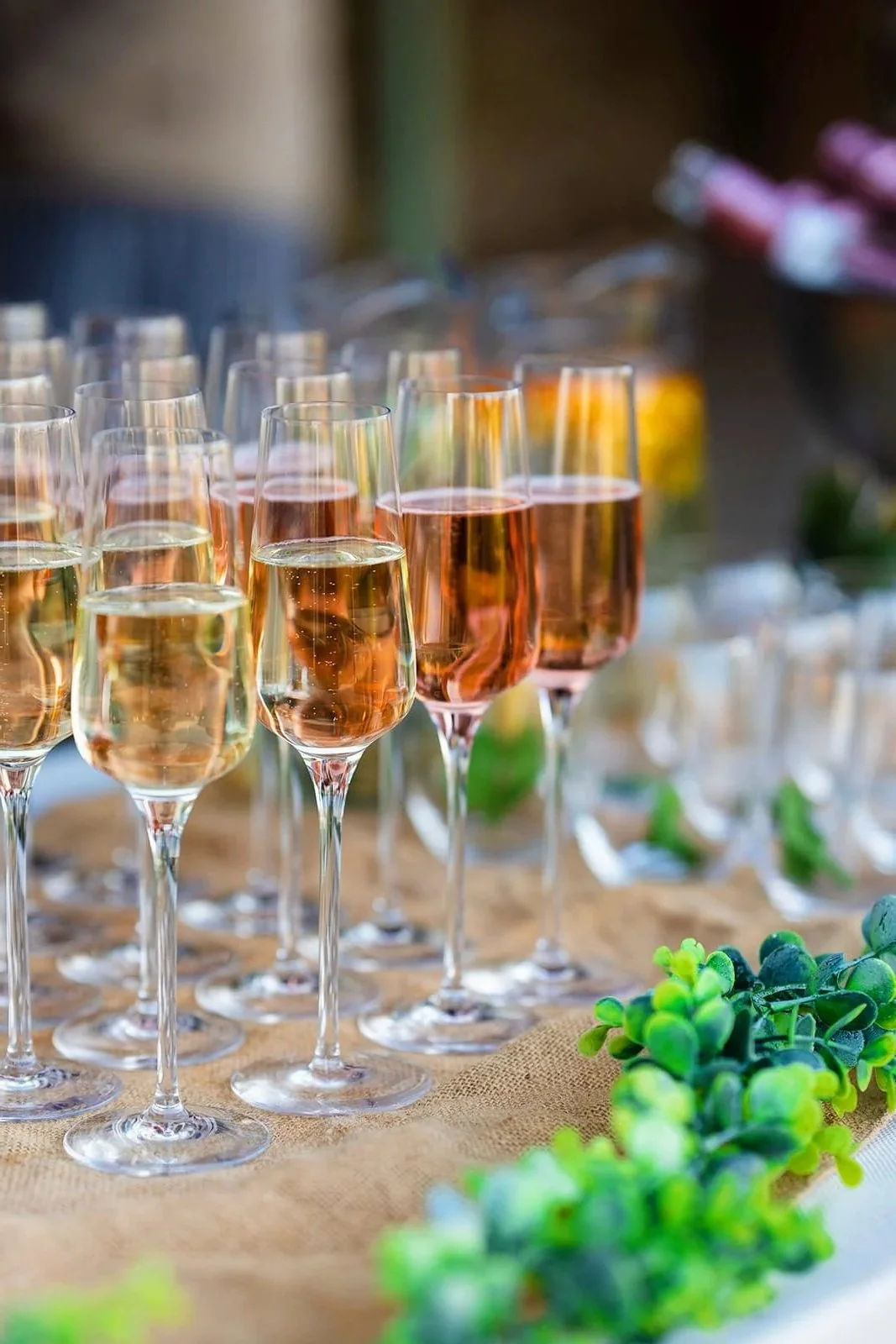 Several glasses of sparkling wine or champagne arranged on a table with green foliage decorations.
