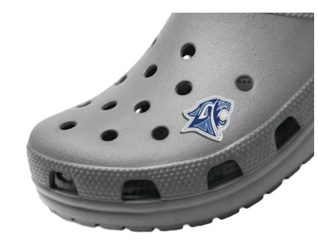 Croc Charm